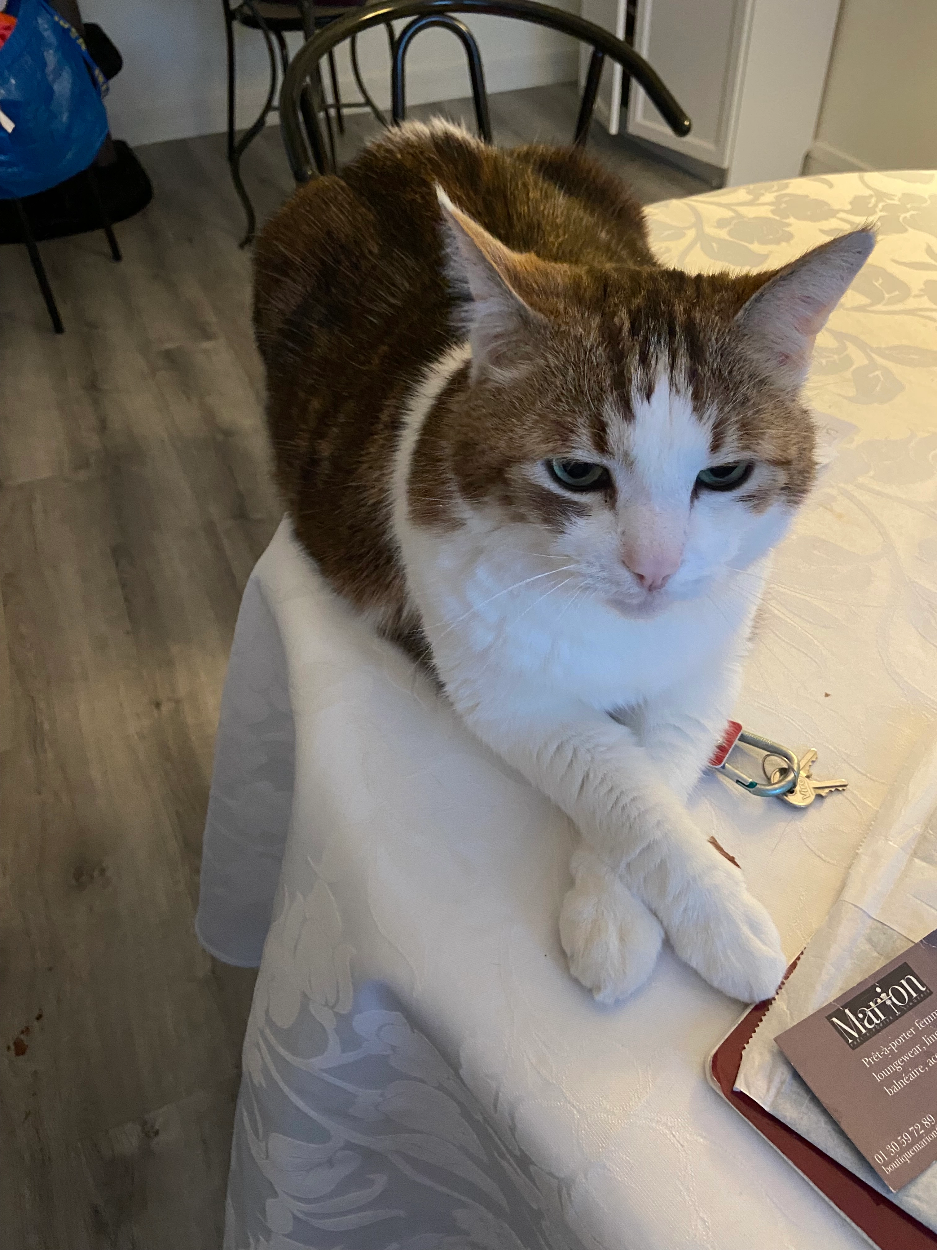 Hermès  - Chemin de Lamberville, Bacqueville-en-Caux