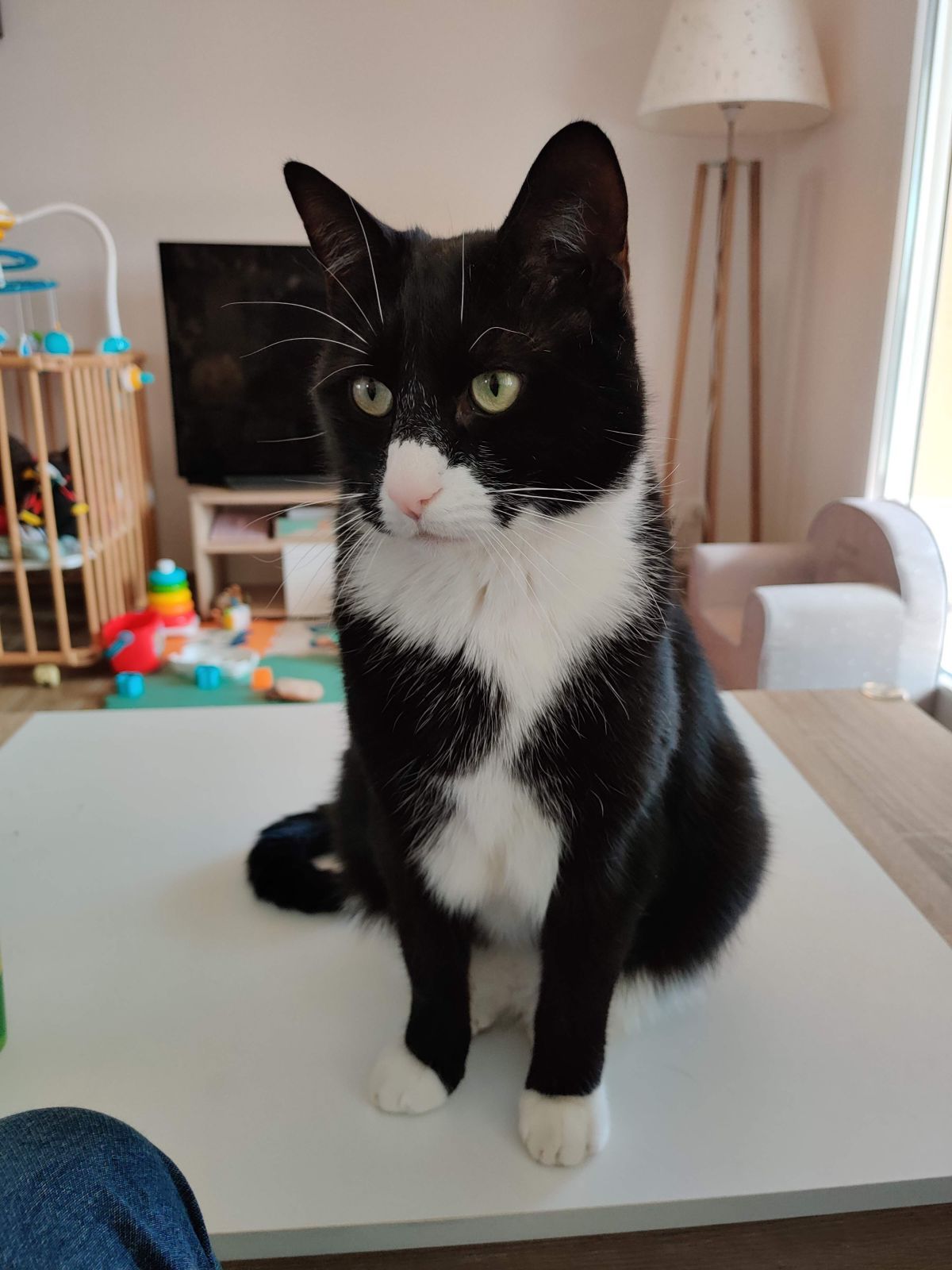 Oni - 39 Allée de la Petite Mouche, Sancé