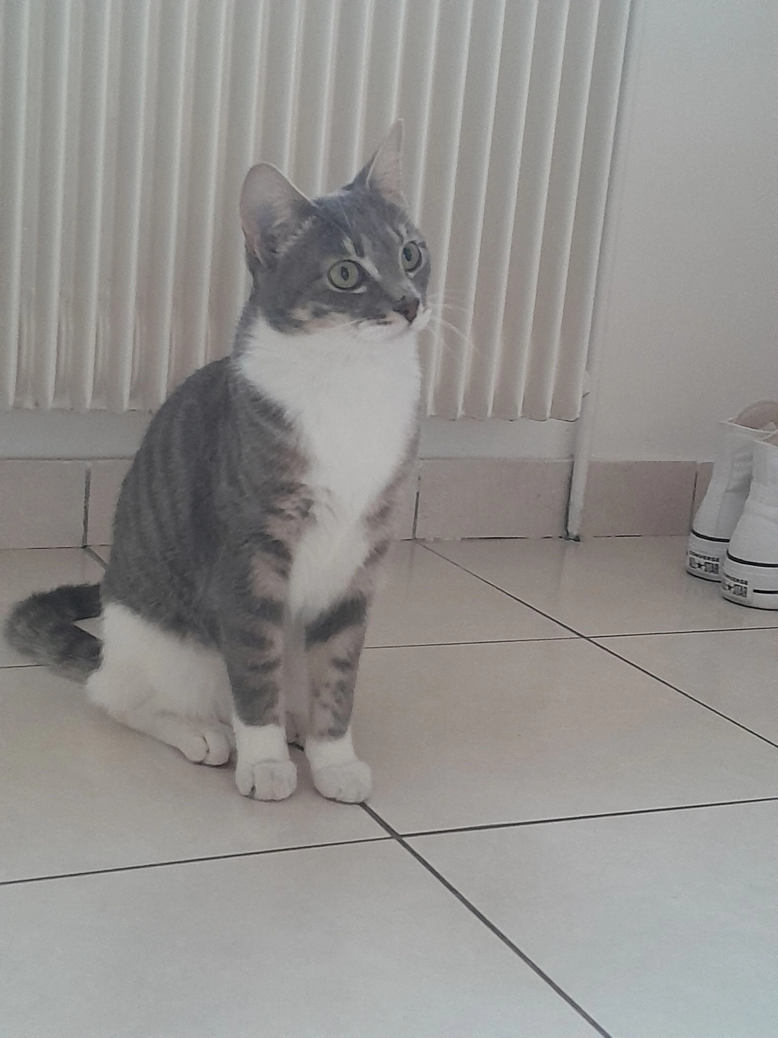 Stella - 4 Route de Mauperthuis, Saint-Augustin