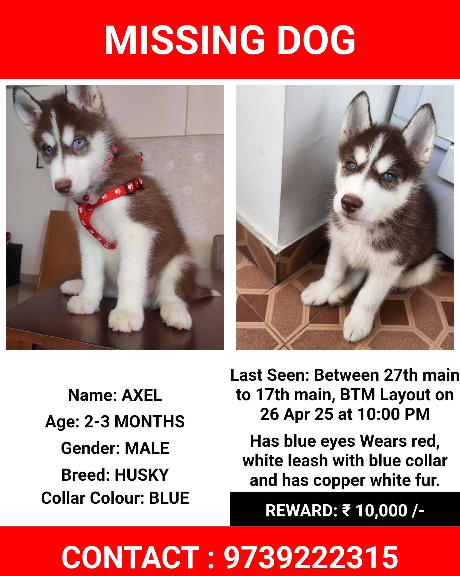 Axel - Outer Ring Road, Bengaluru