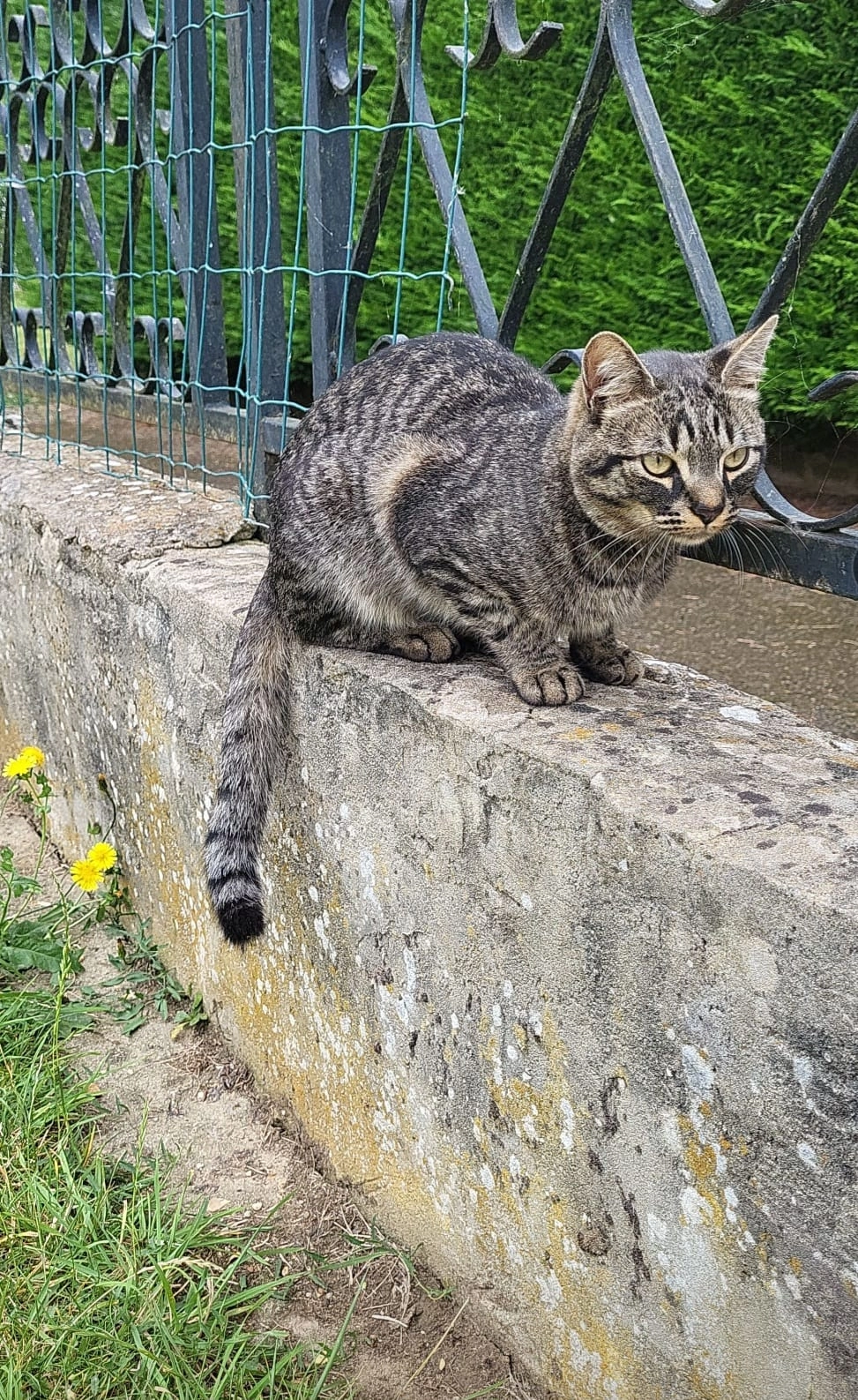 Harlot - 1 Rue des Aubépines, Dreux