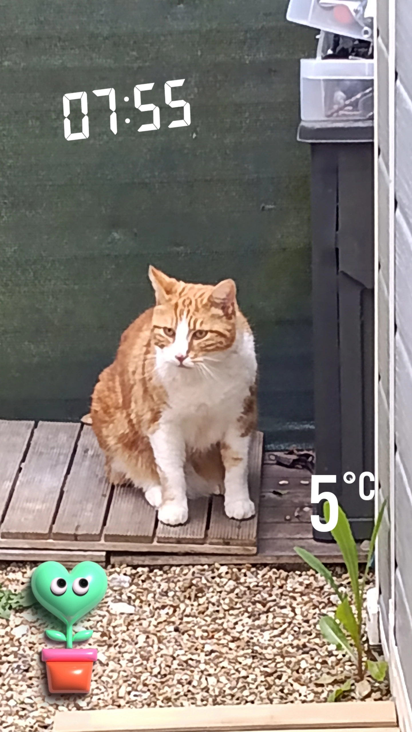 Donald - 104 Route de Nogent-le-Roi, Pierres