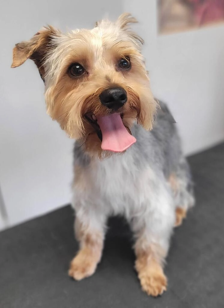 Verso - Boulevard Gambetta, Rouen