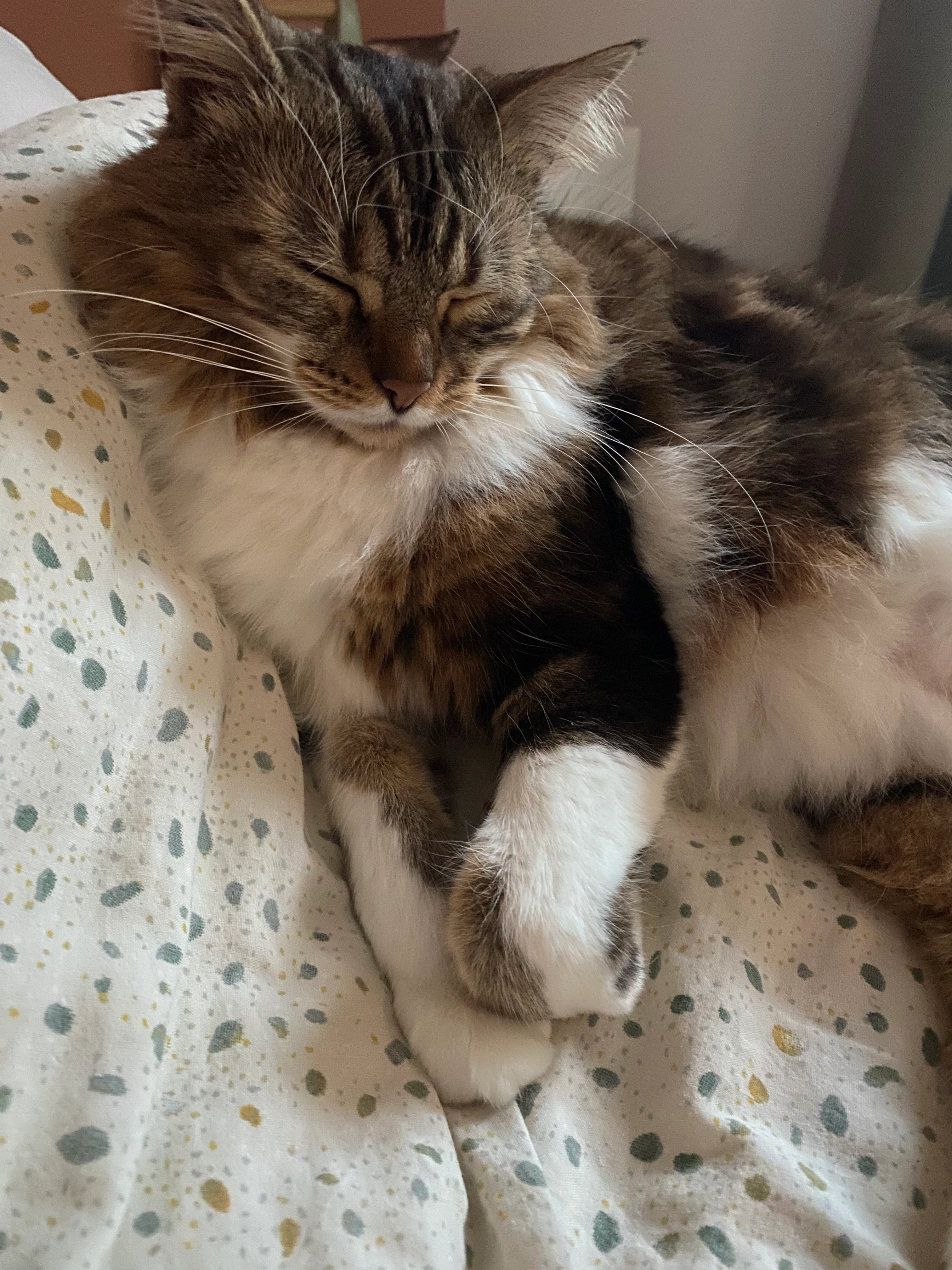 umi - Rue Georges Meynieu, Nantes