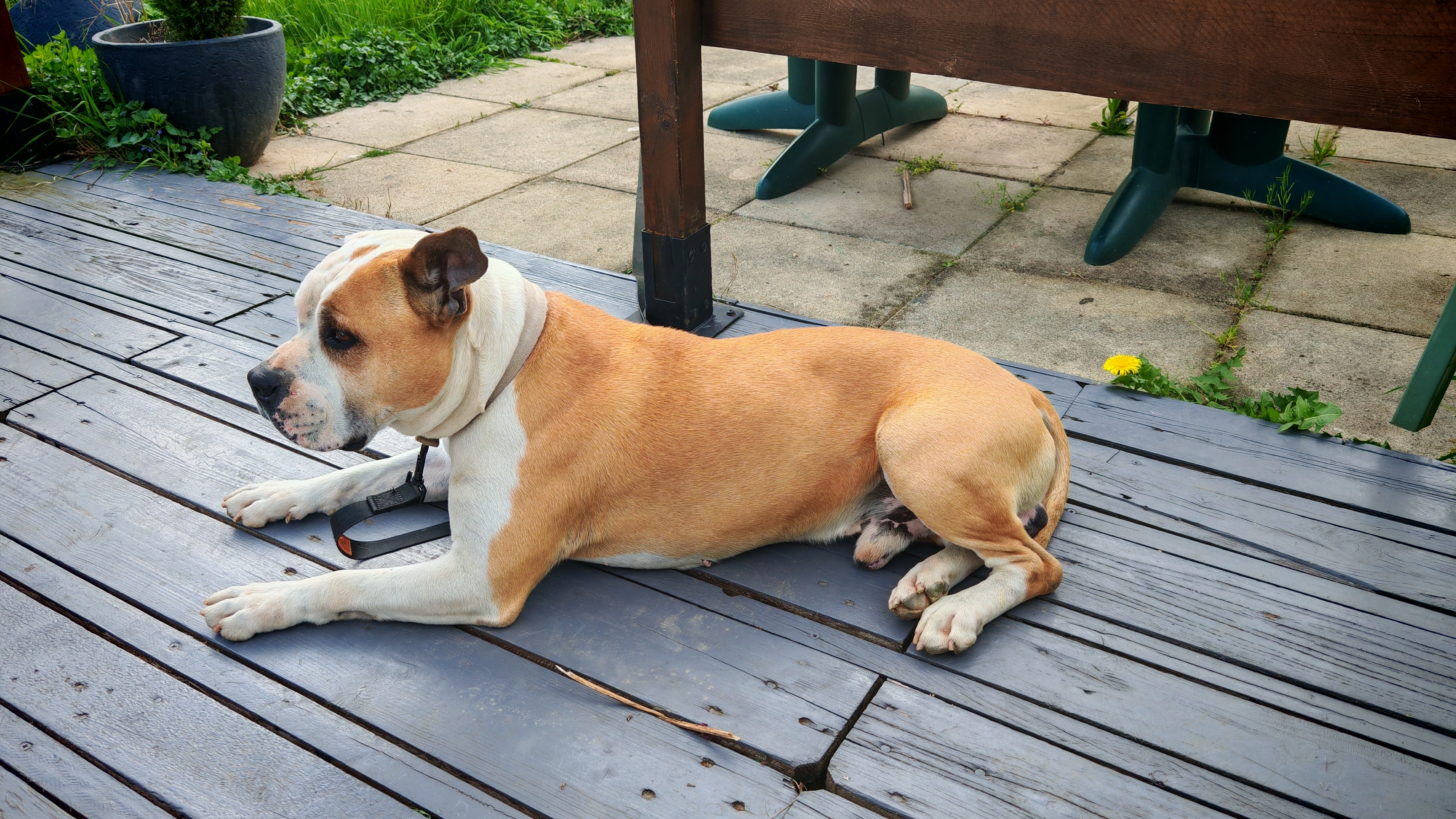 Narco  - Avenue Georges Clemenceau, Guilherand-Granges