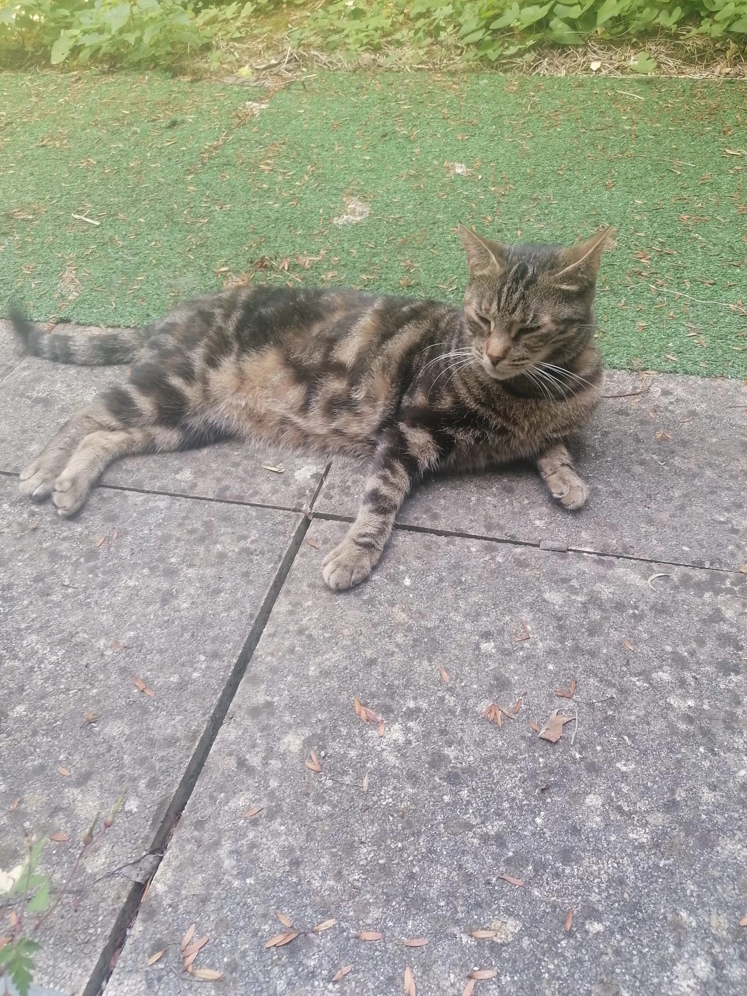 Quenny - Rue De Claye, Thorigny-sur-Marne