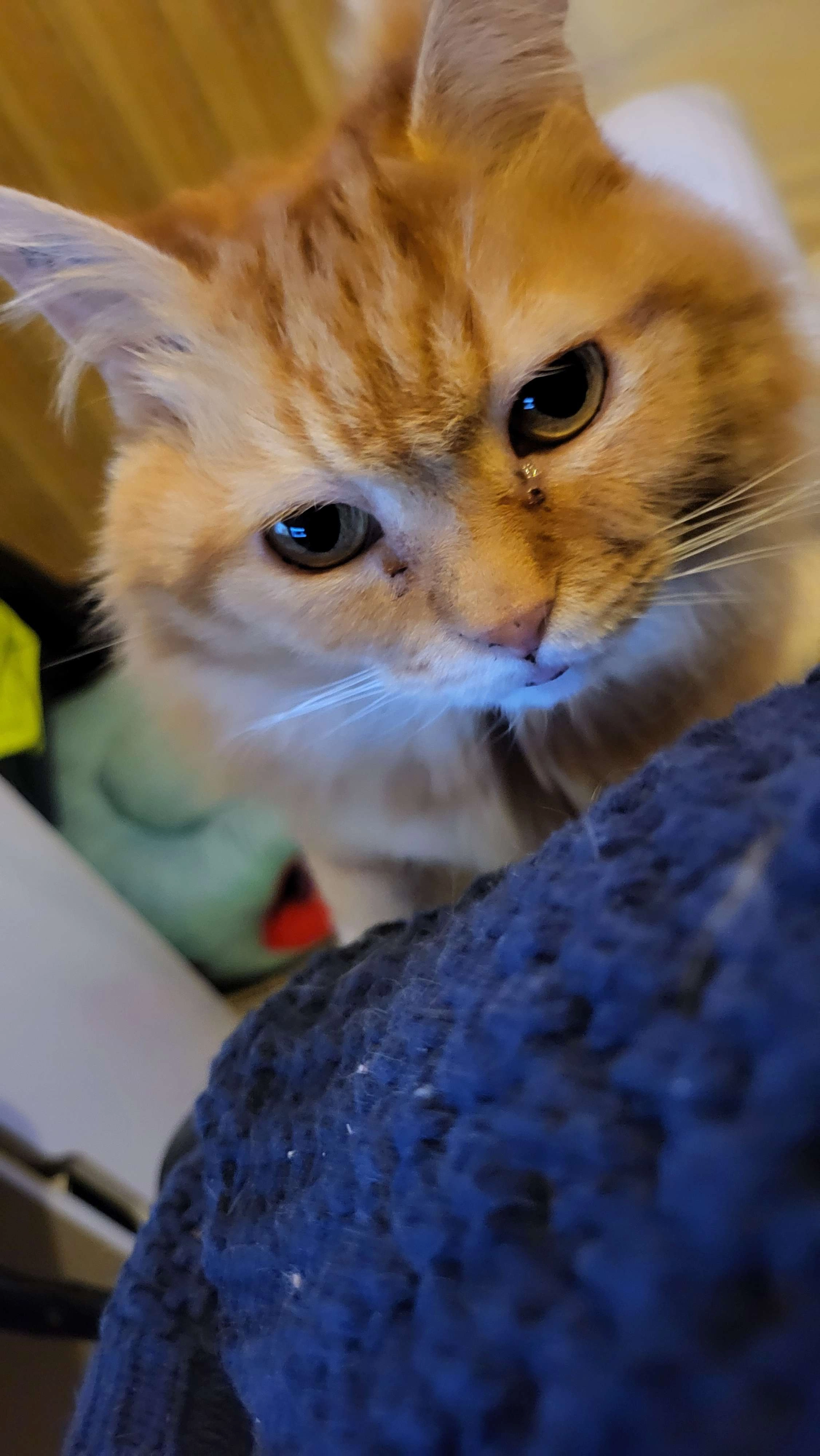 Kya - 41 Résidence Le Général, Aubagne