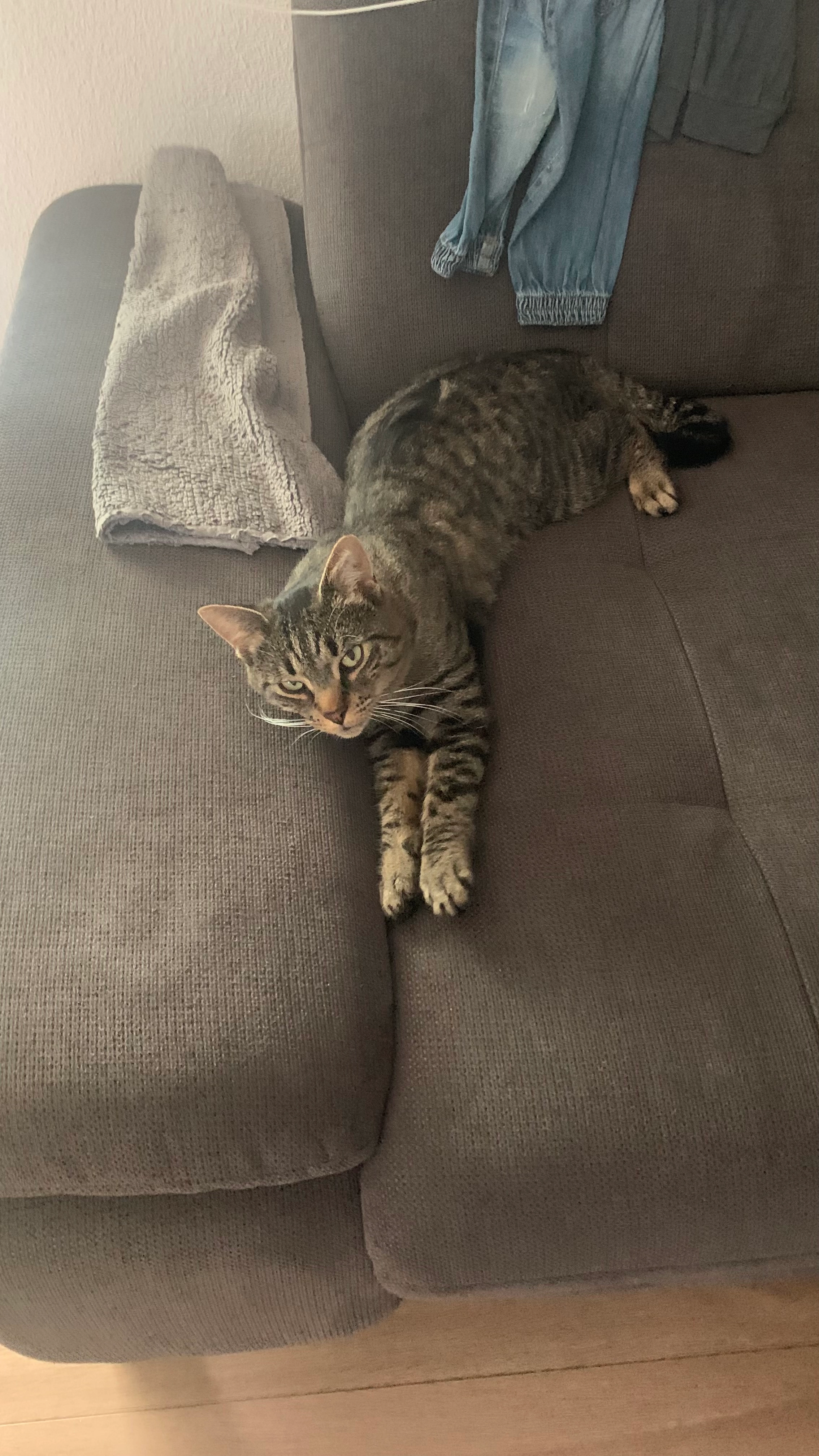 Tigi - Ledergasse, Singen