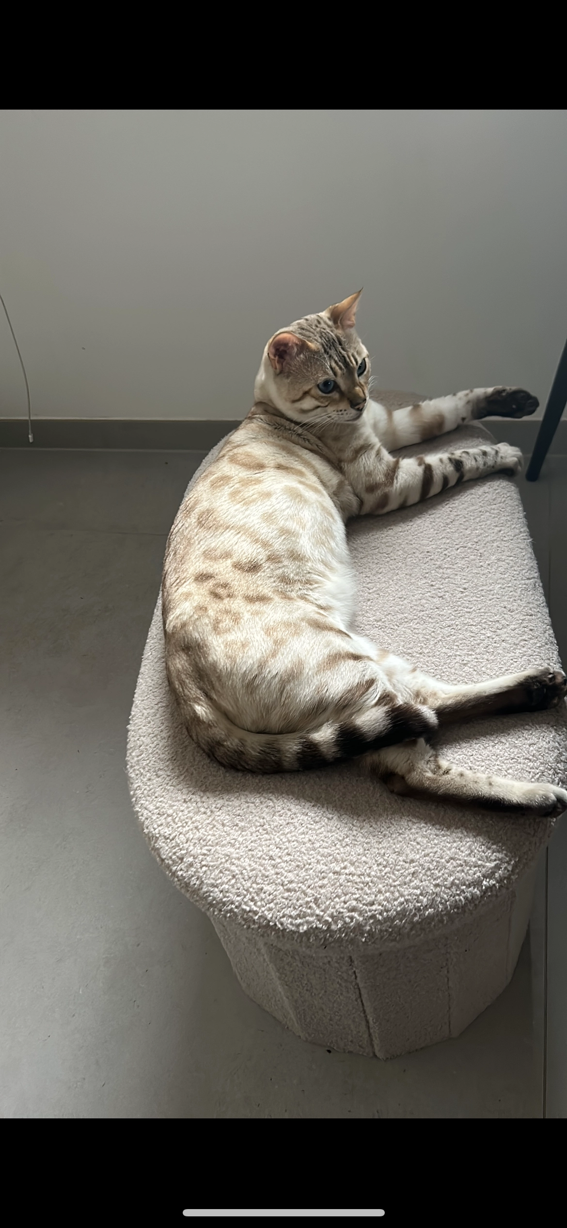 Spi  - Würzburger Straße, Seligenstadt