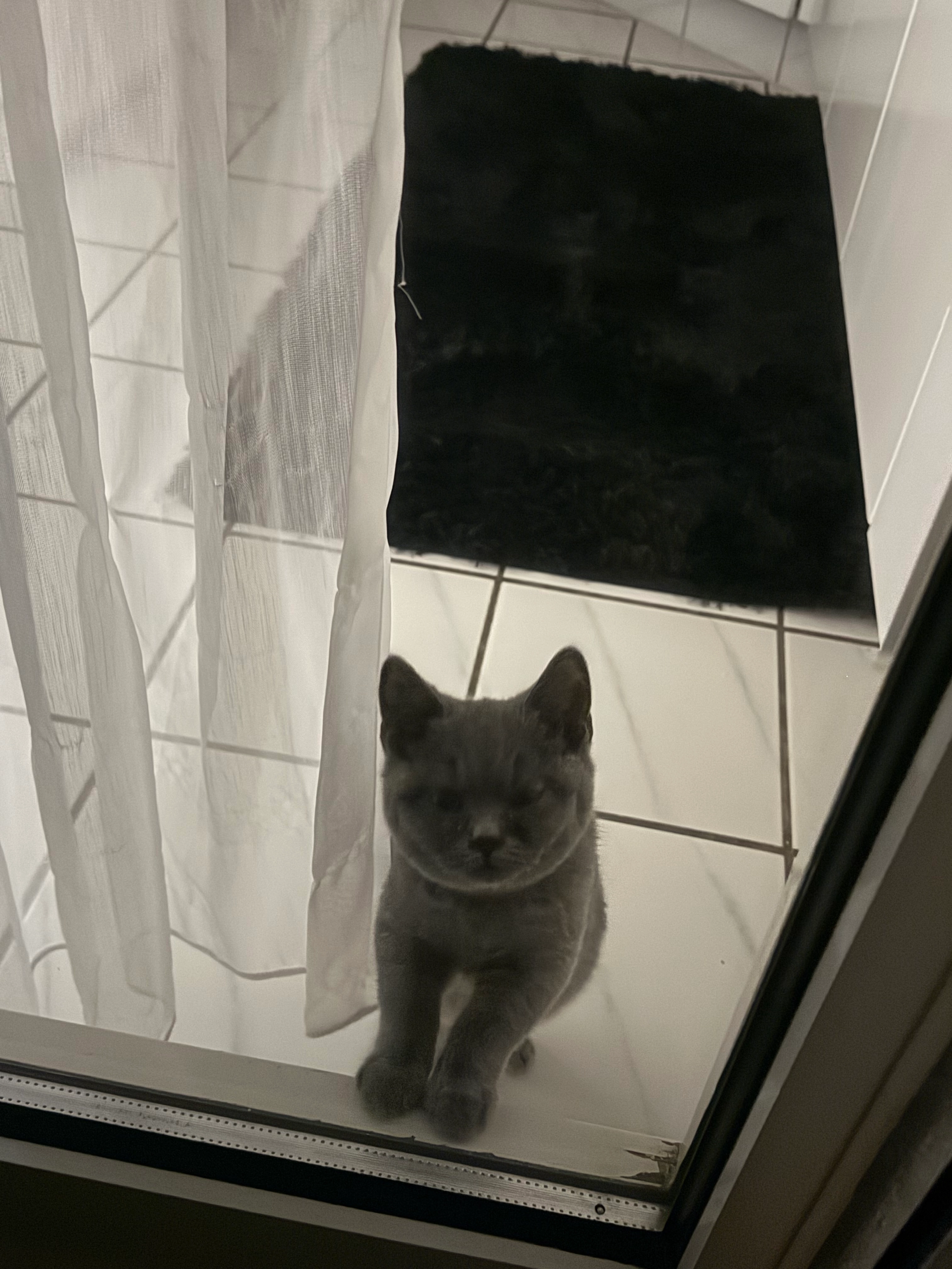 Diva - Sennhüttenweg 1, Fehraltorf