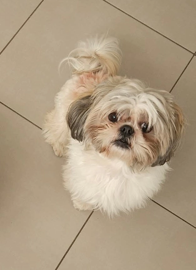 Olaf  - Rue Branly, Beuvrages