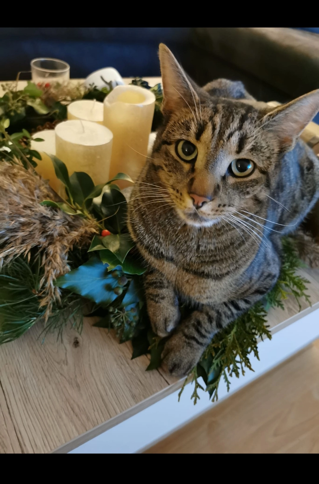 Leo - Lörenstrasse, Flawil