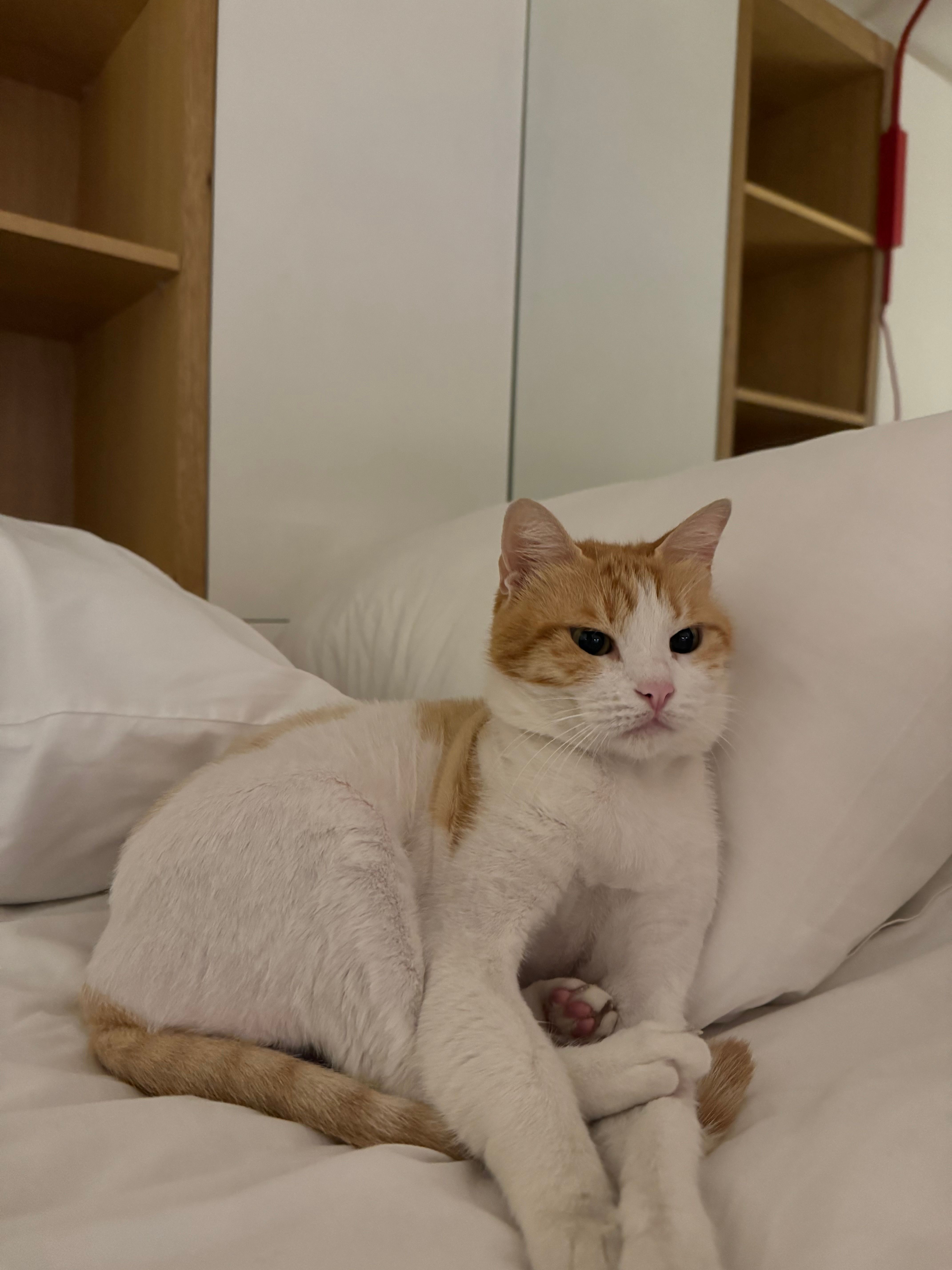 Bouby - Badaro Street, Beirut