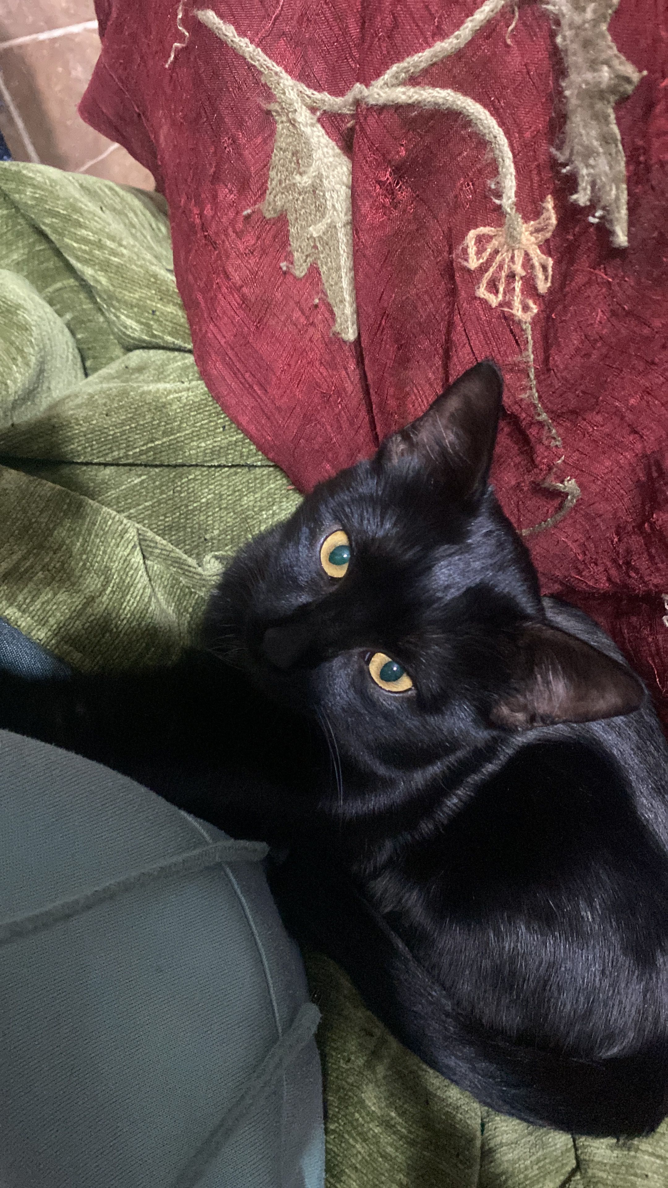 Marranito - Calle Huelva, Puerto Serrano