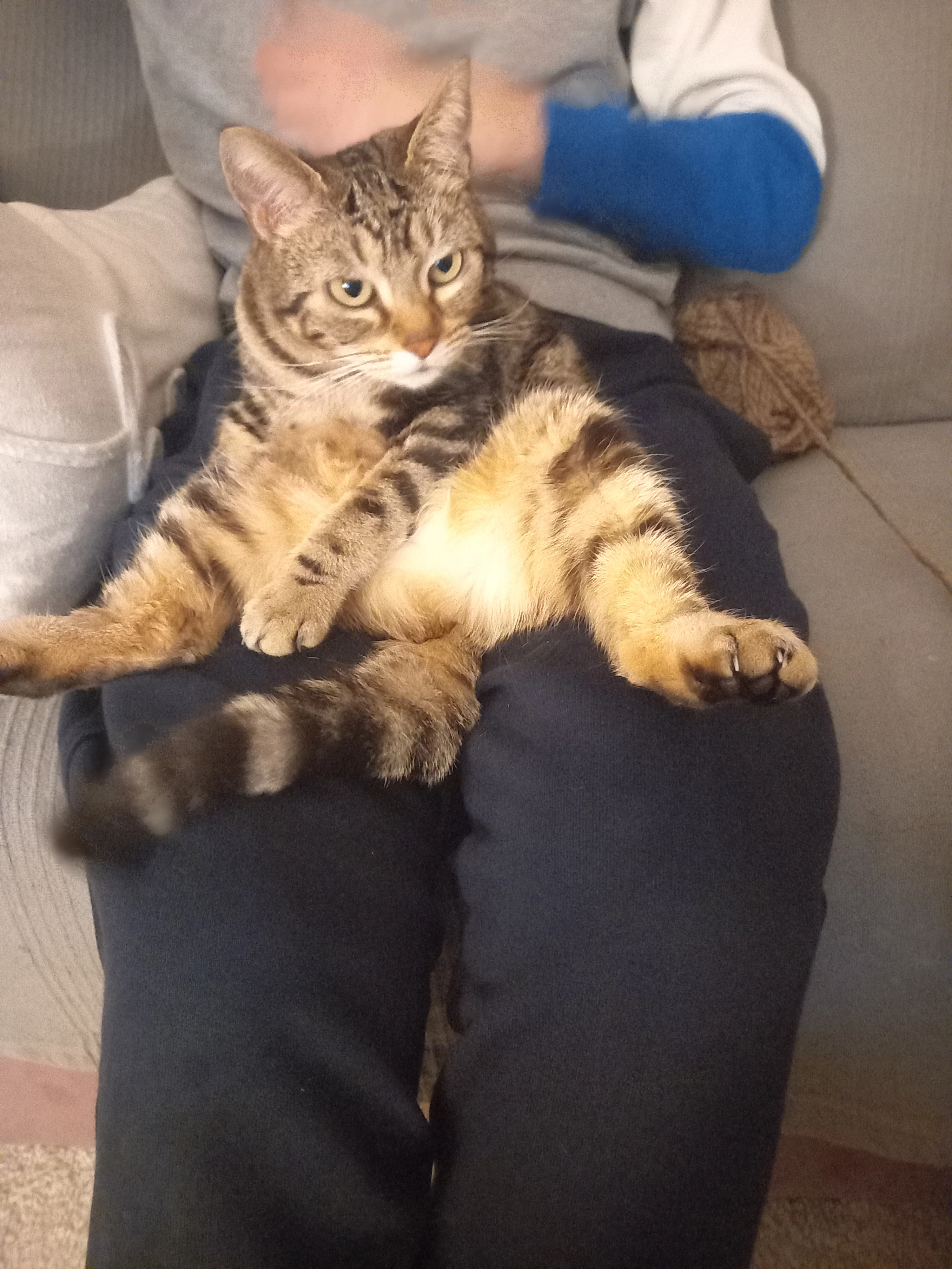 MOON - 95 Rue du Rival, Montrond-les-Bains