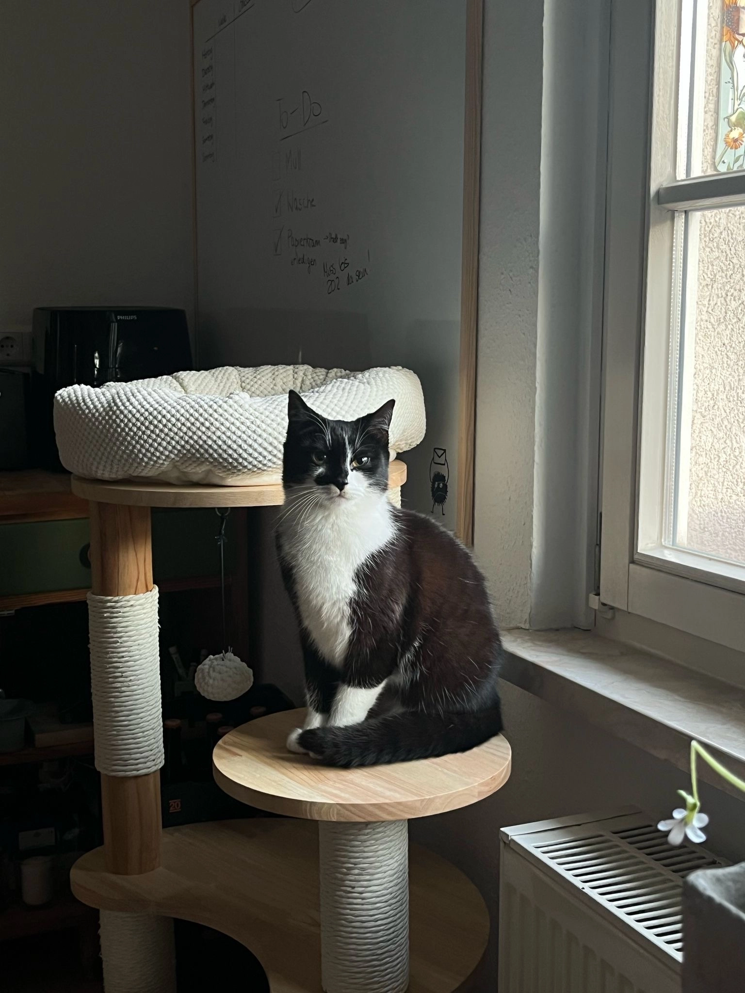 Basima - In der Doberau, Jena