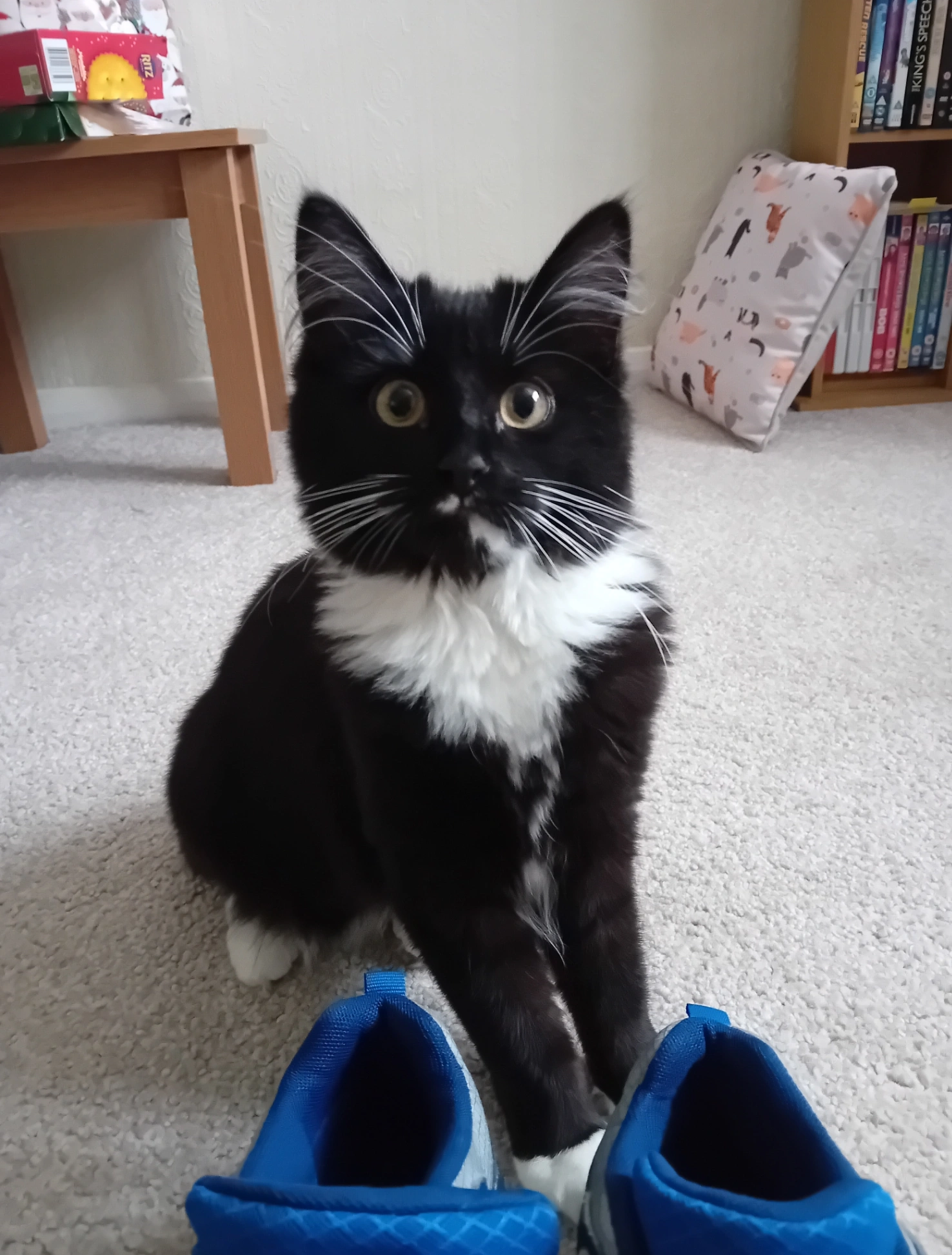 Luna - Waterside Close, Gloucester