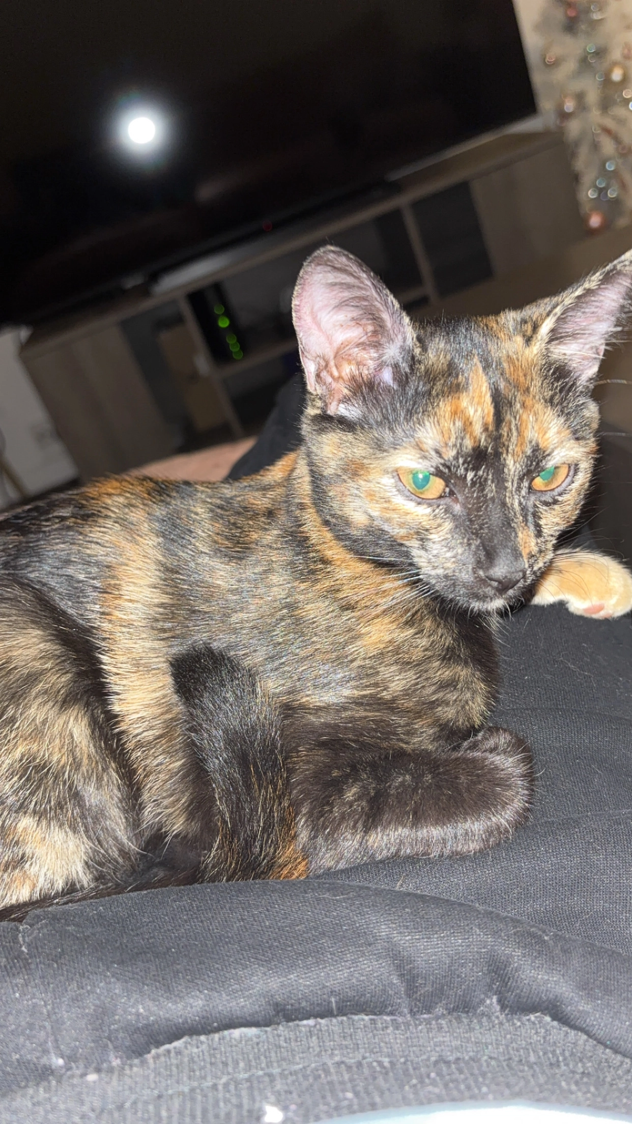 Rainbow - Boulevard Vauban, Saint-Memmie