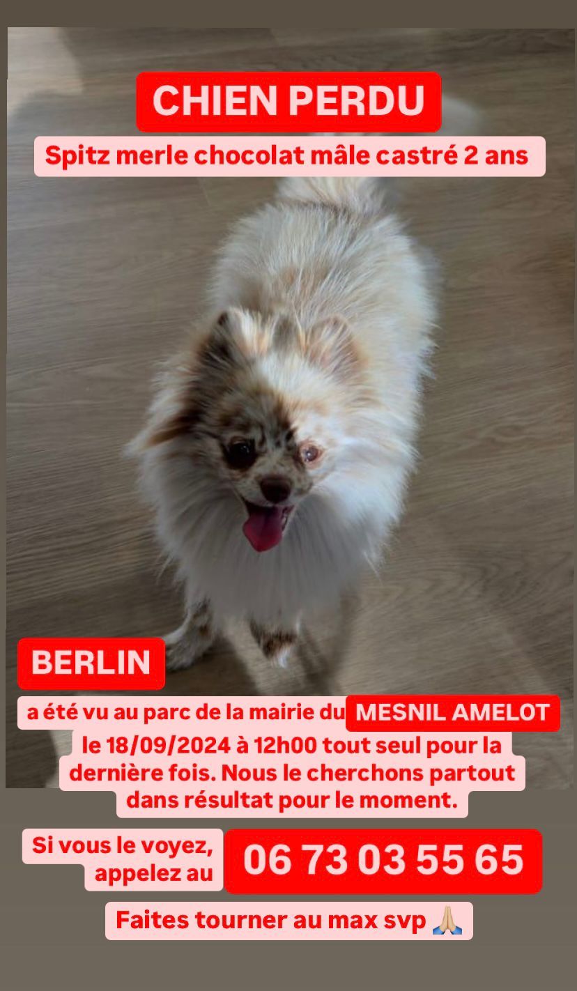 Berlin - Impasse du Gobinet, Le Mesnil-Amelot