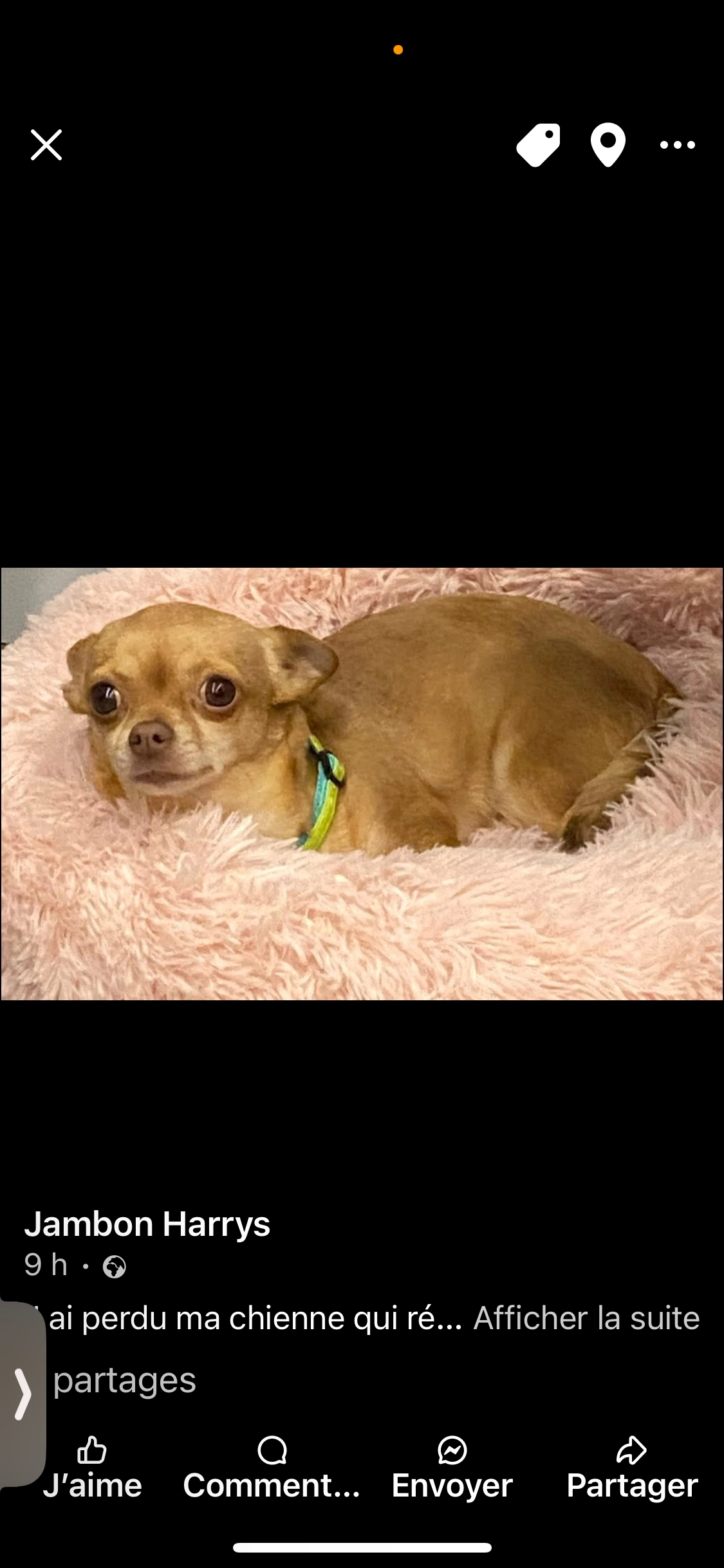 Parisse - Avenue du Mont Blanc, Saint-Pierre-en-Faucigny