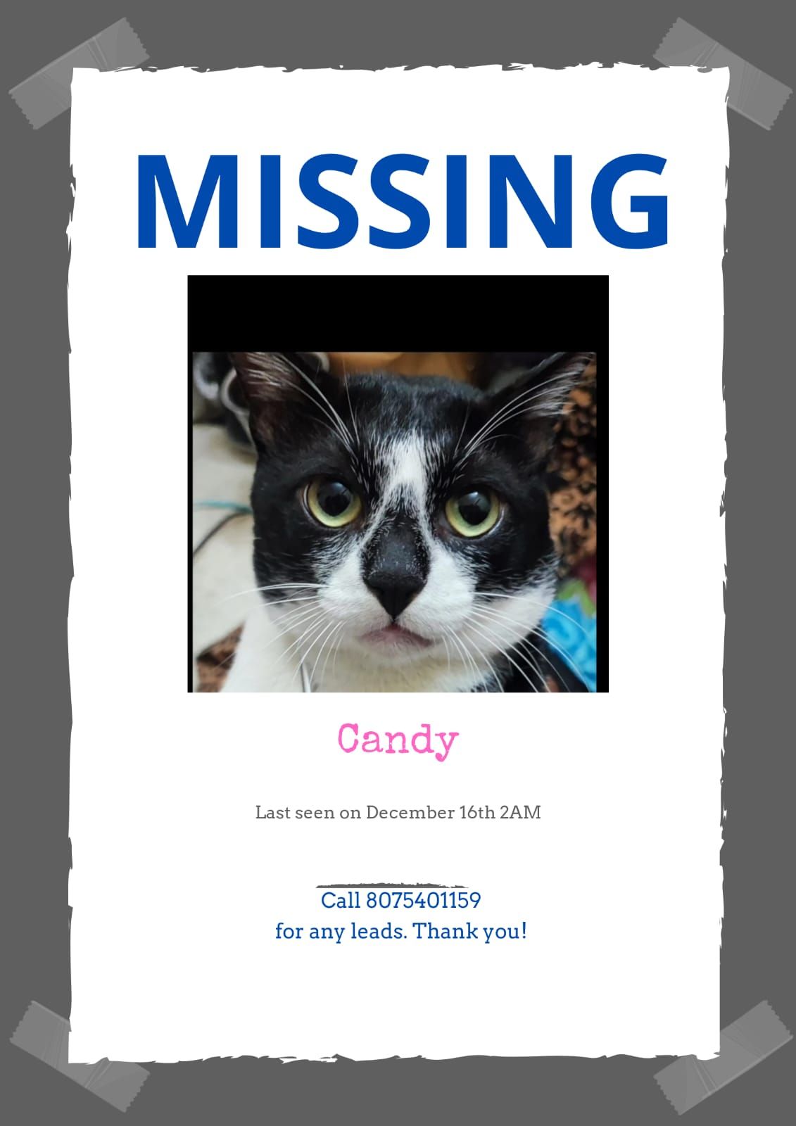 Candy - Kottarakara - Kollam Road, Kollam