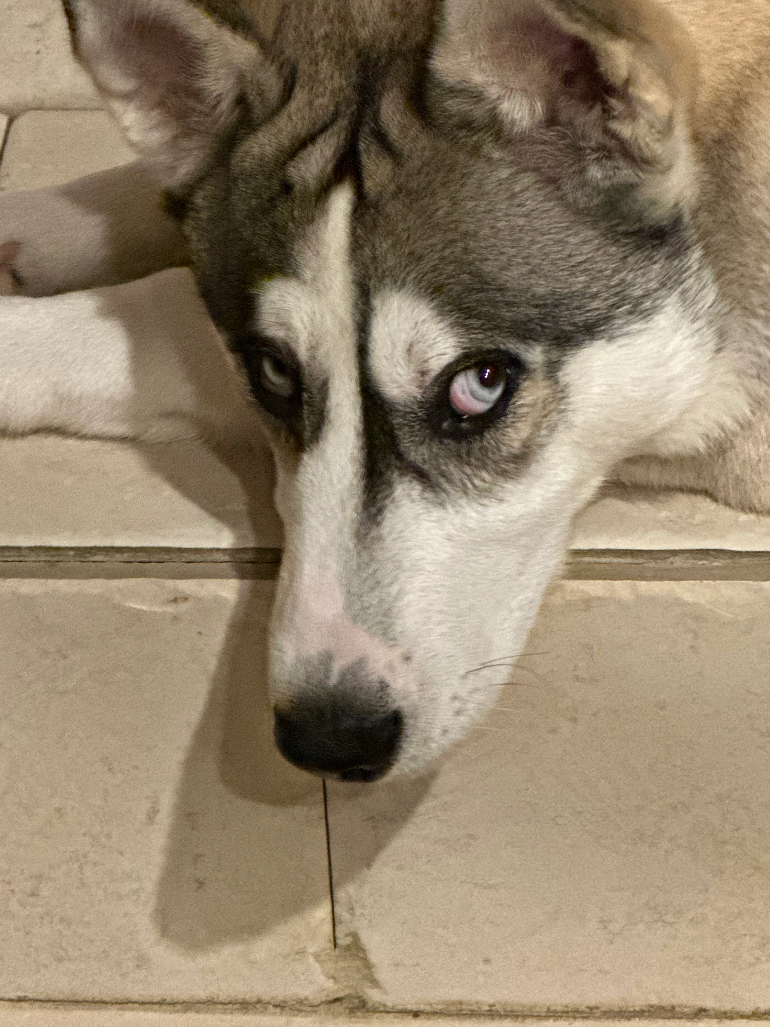 Valko - Rue Des Jardins, Mont-le-Vignoble