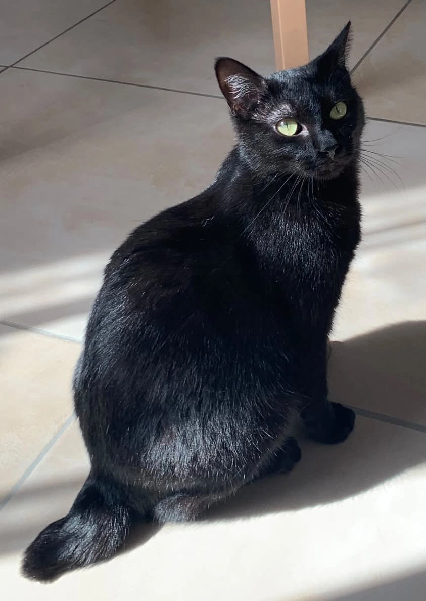 Olympe - 19 Impasse du Pinier, La Chapelle-Gonaguet