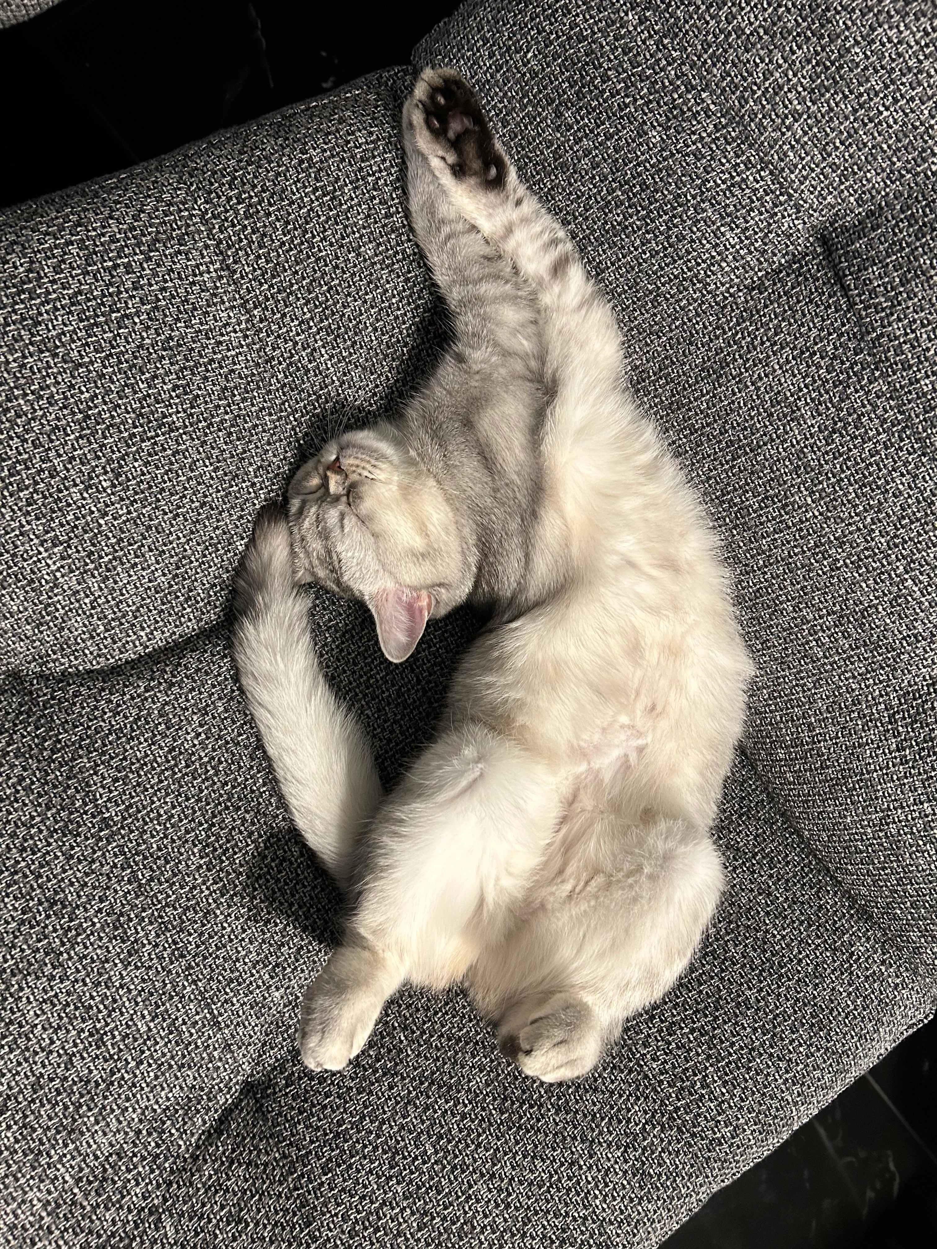 Nala - Graaf Arnulfstraat, Vlaardingen