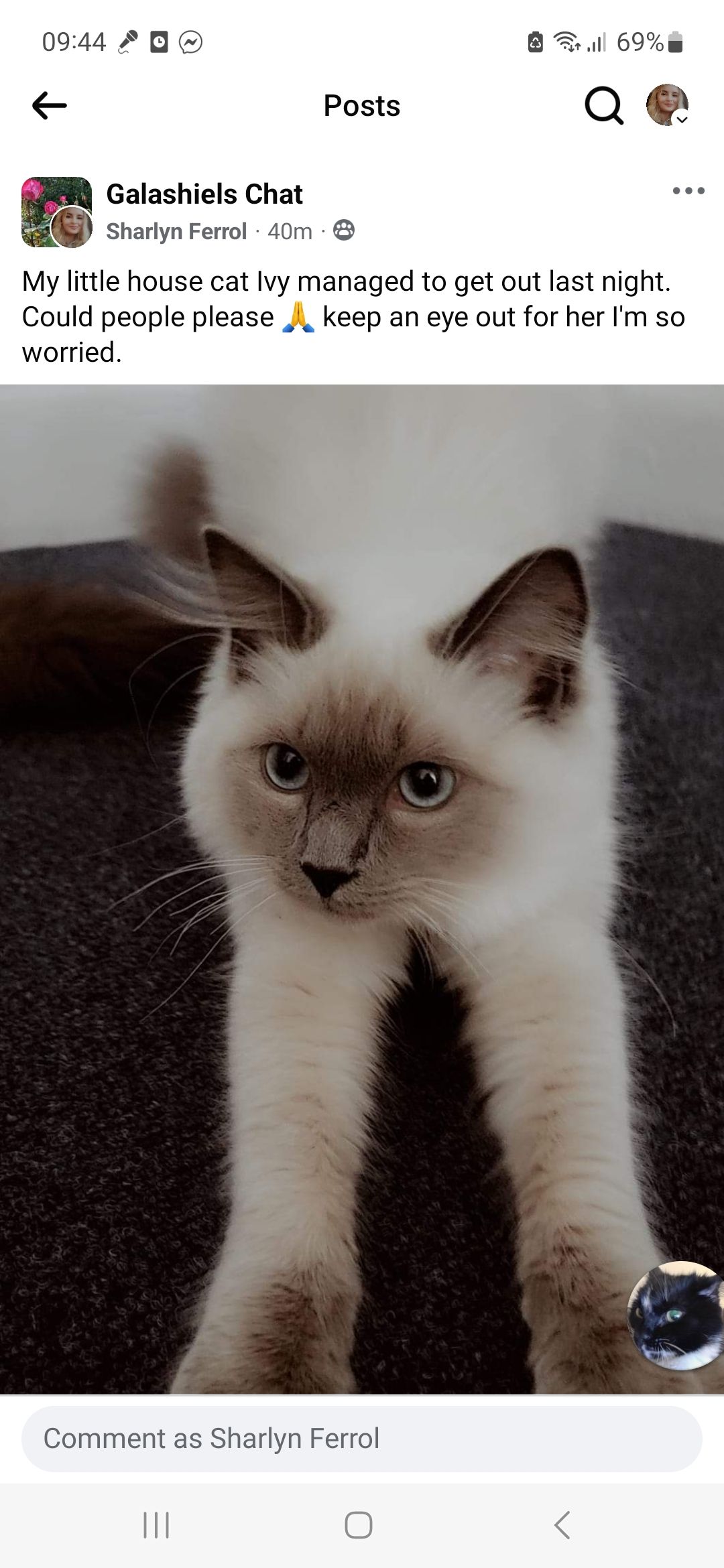 Ivy - Lintburn Street, Galashiels