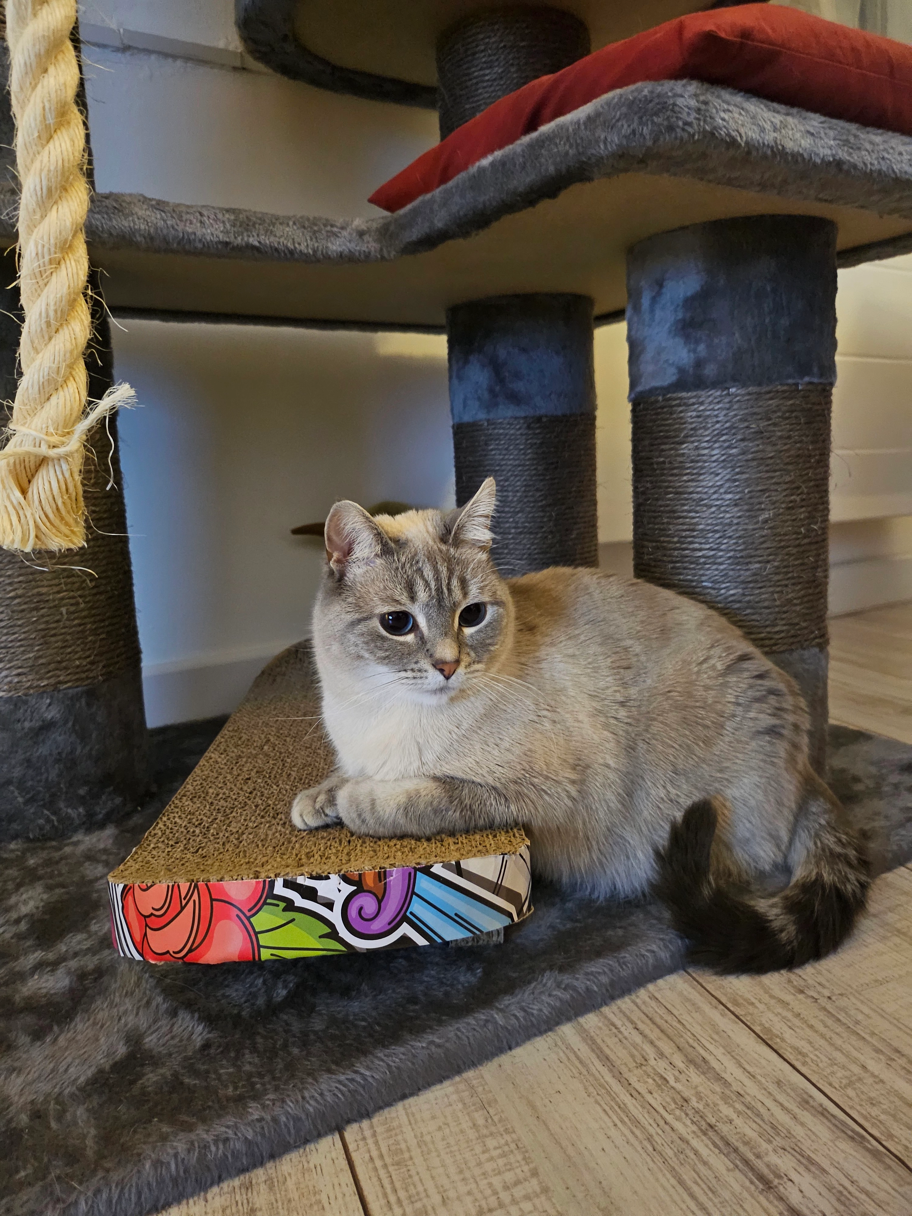 Yuki - 28 Rue de la Gare, Quesnoy-sur-Deûle