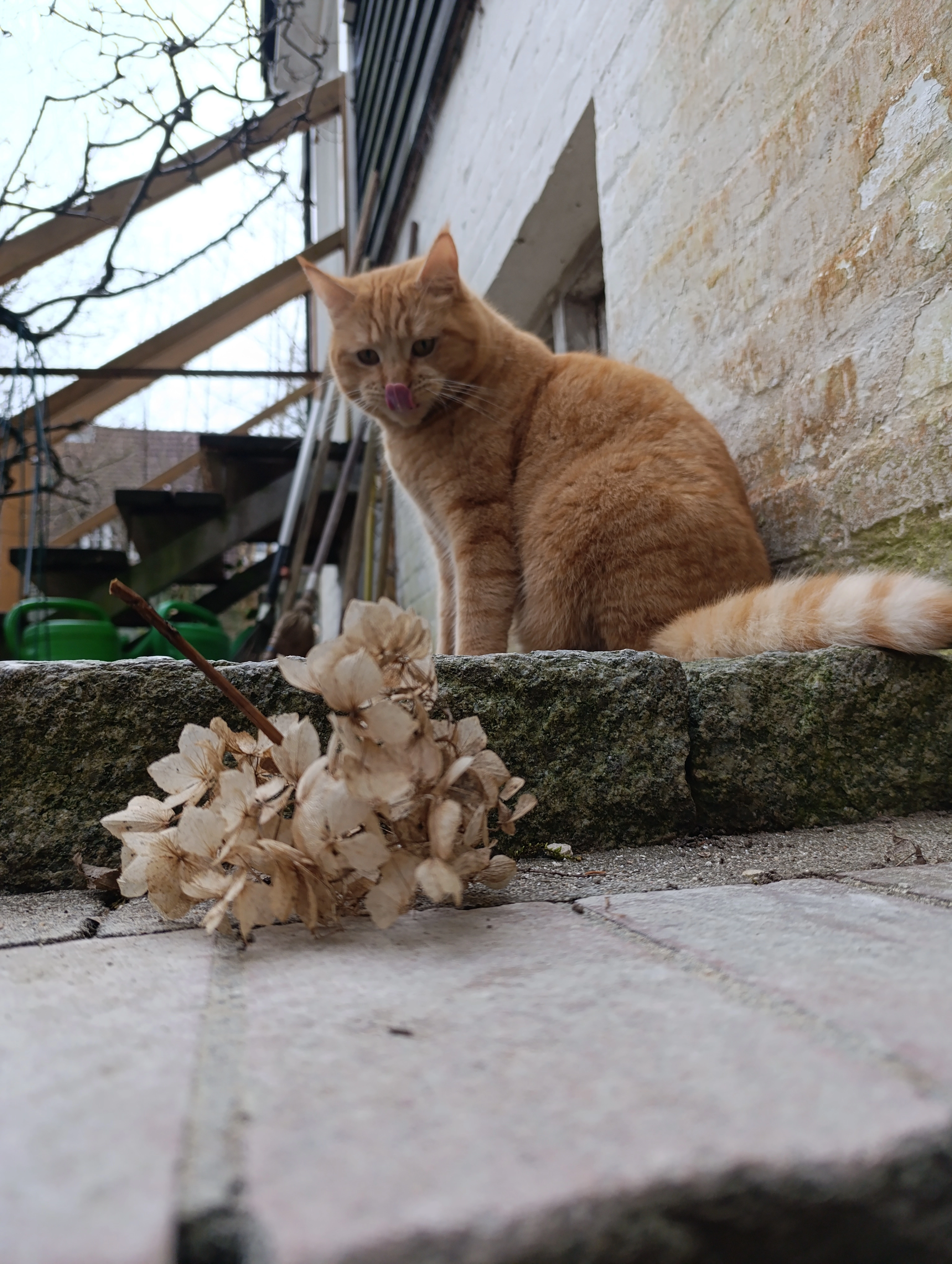 Pauli - Sthamerstraße, Hamburg