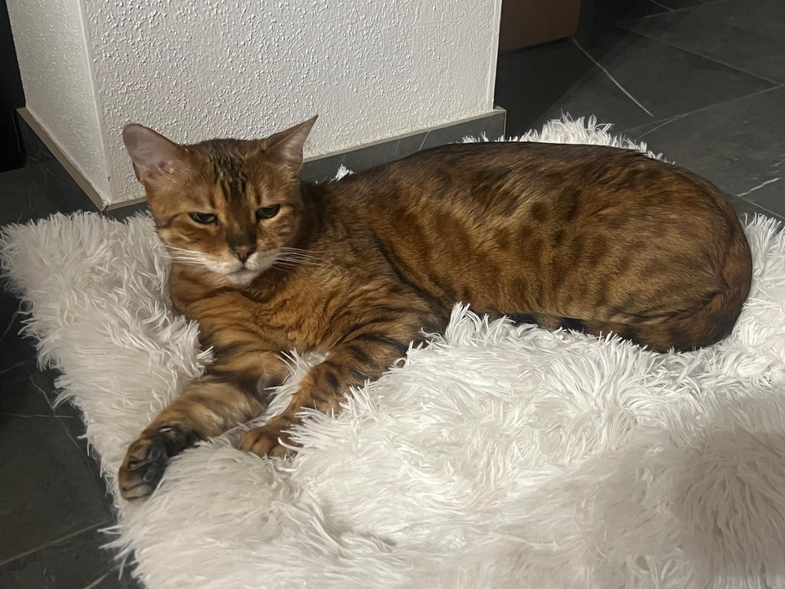 Etu - Sternstraße 10D, Kirchdorf an der Amper