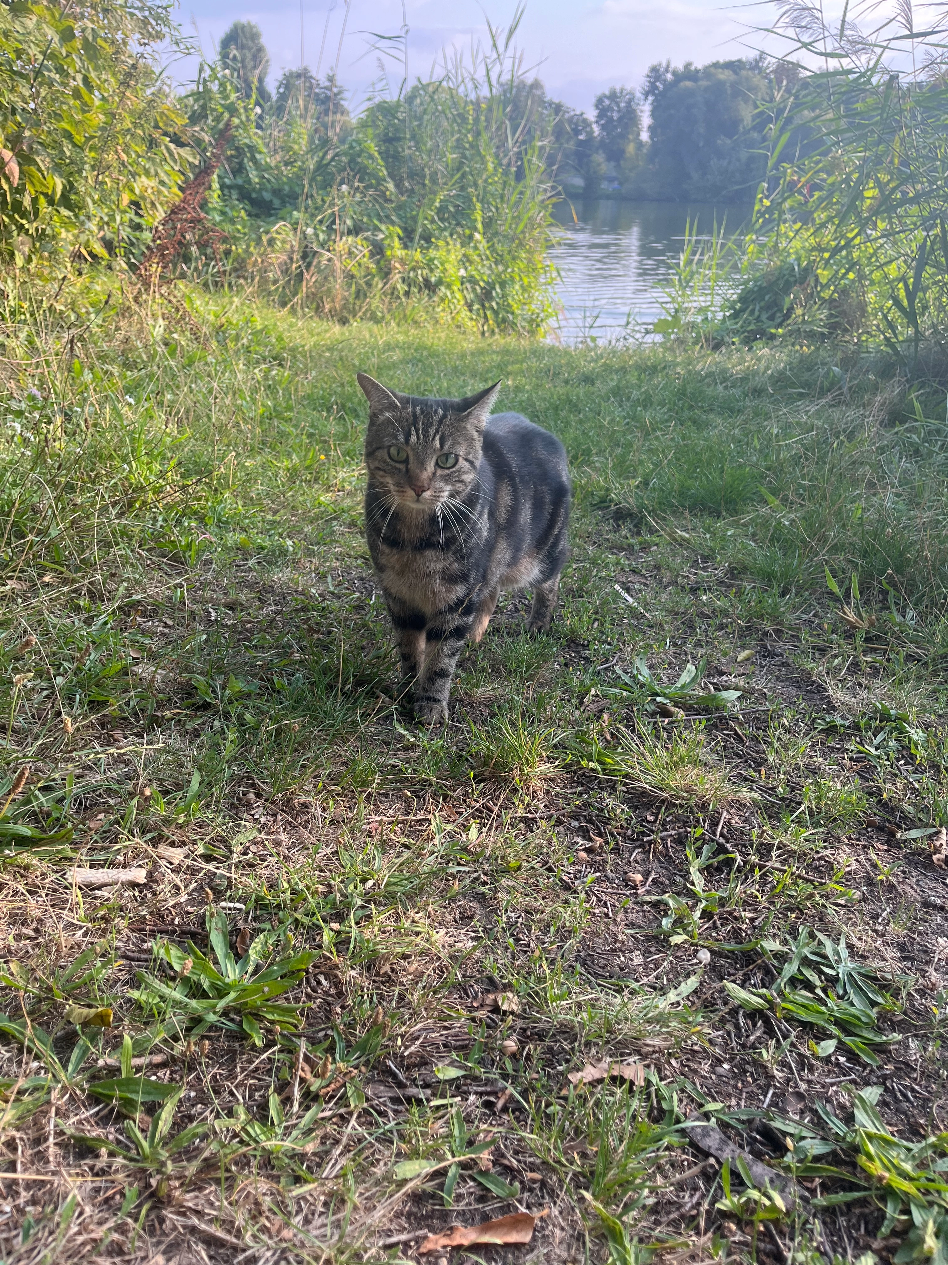 Luna - Ringstraße 71, Potsdam