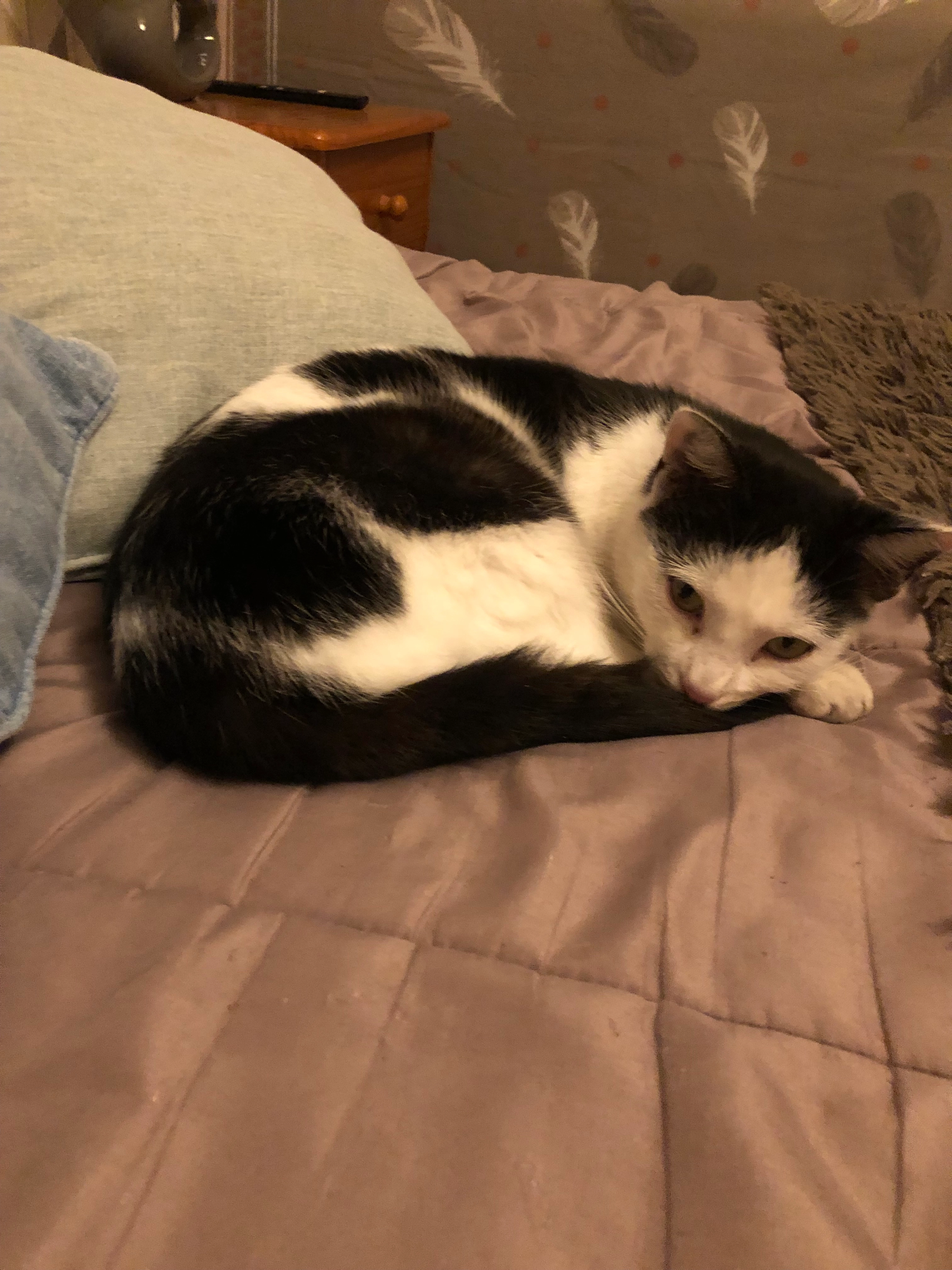 Tina - Rue des Primaudières, L'Épine