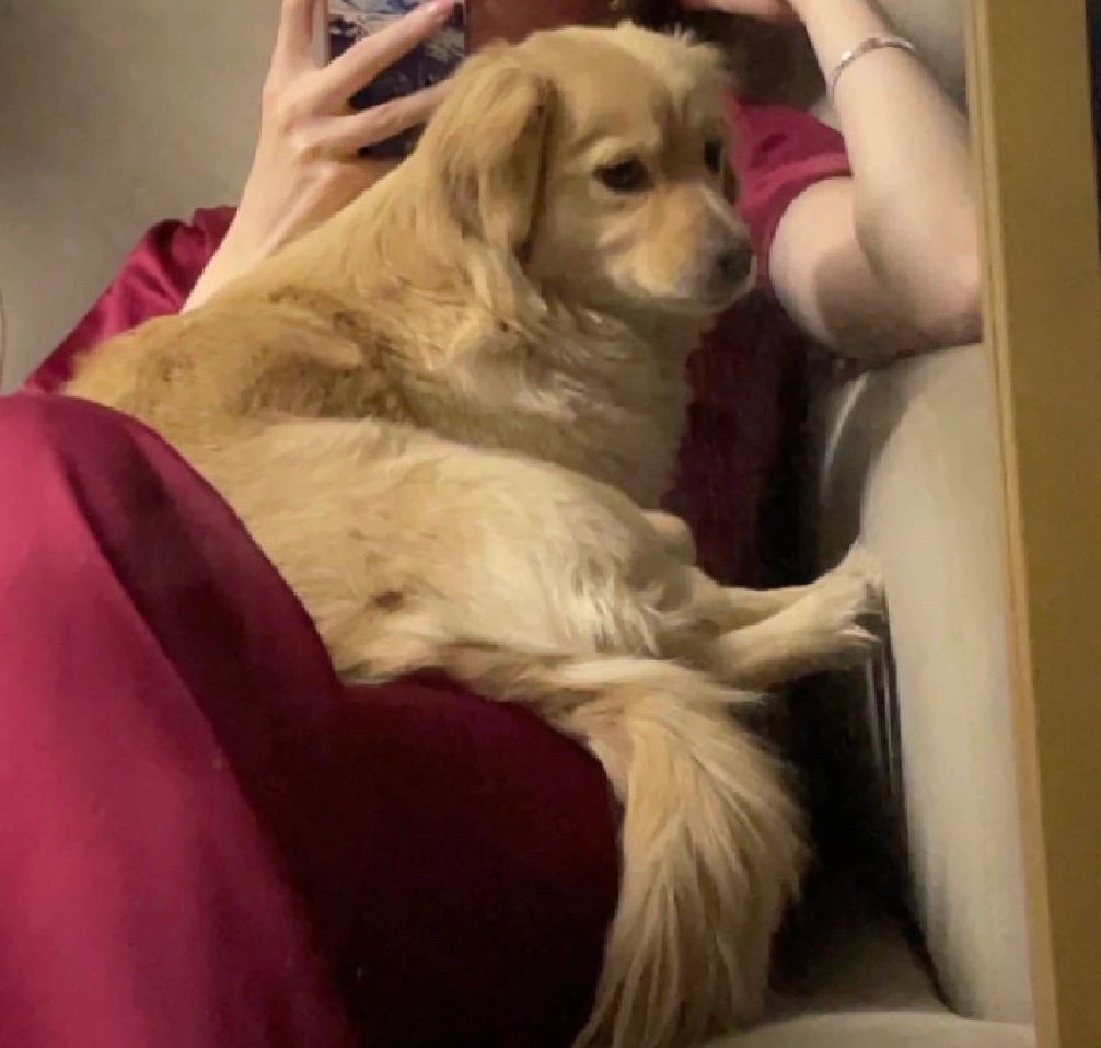 Luci, bati, bato - Damasquino resturant , Erbil, ankawa