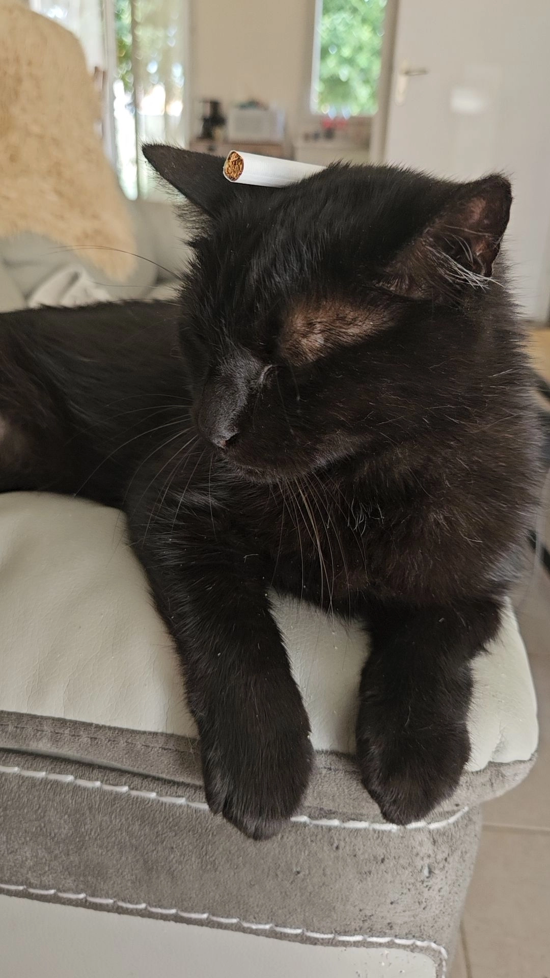 Klara  - 8 Rue du Pirée, Gorges