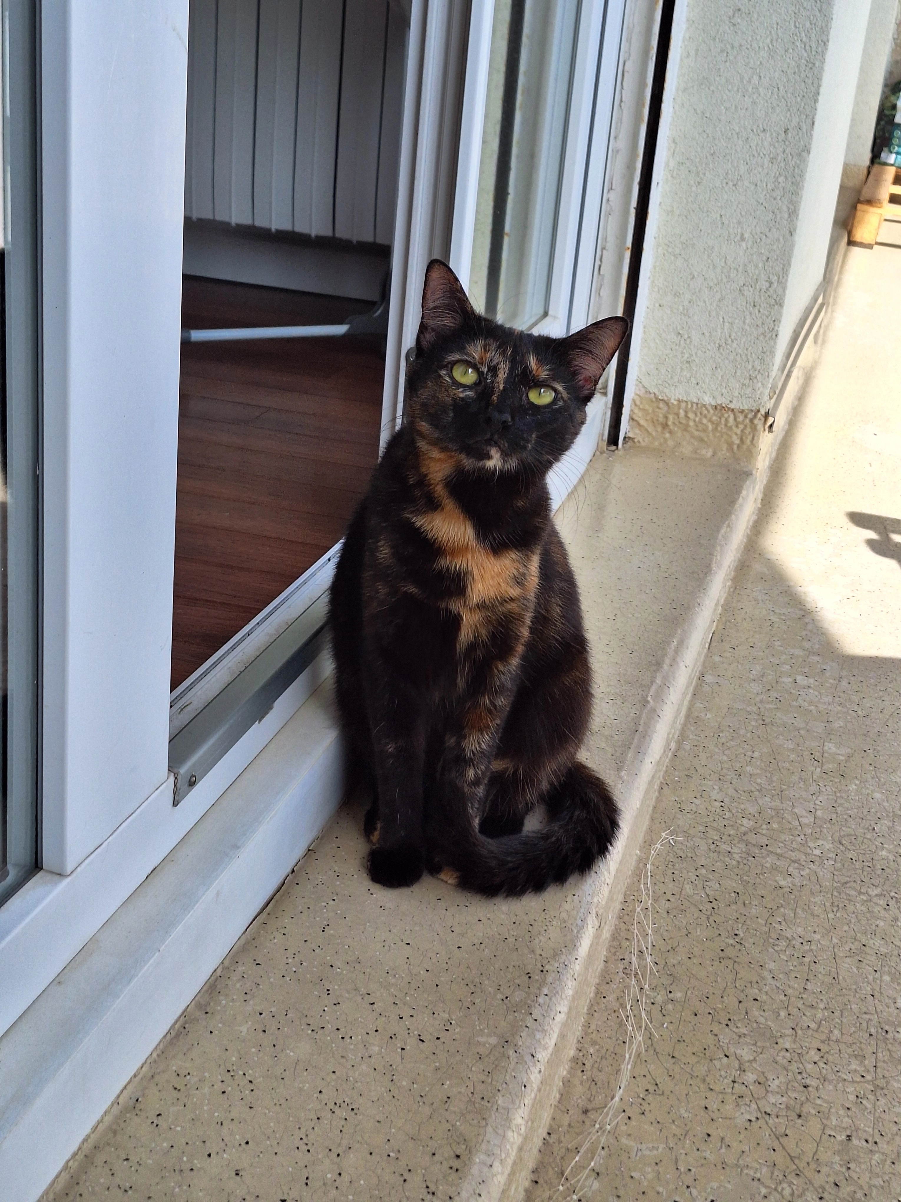 Mambia - Rue Jacques Tati, Bois-d'Arcy