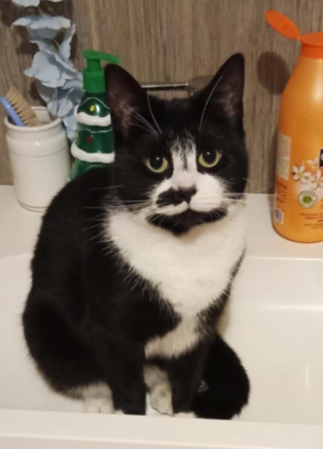 Sushi - Rue Victor-Hugo, Maubeuge