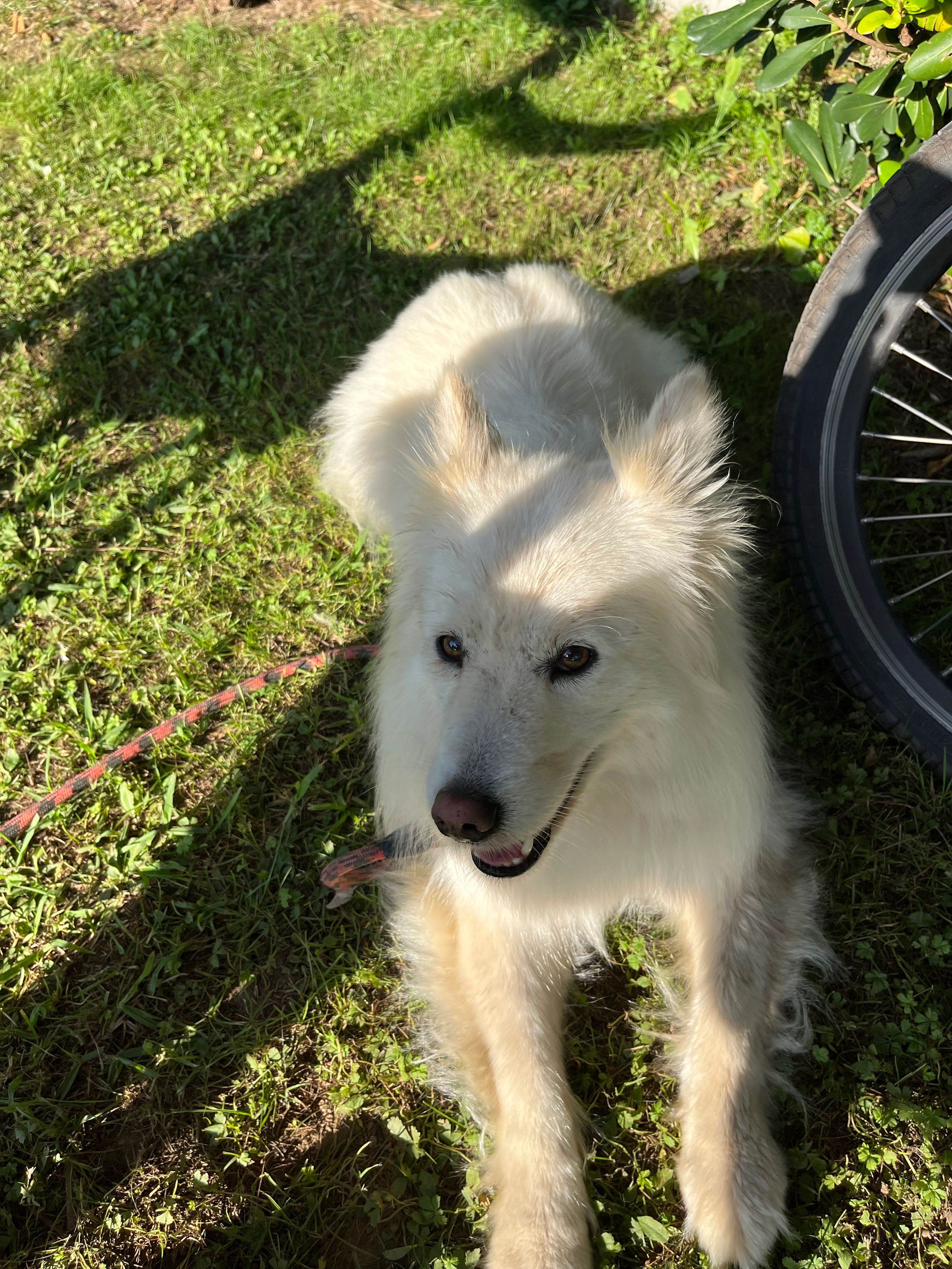 Mia - Cressin, Cressin-Rochefort