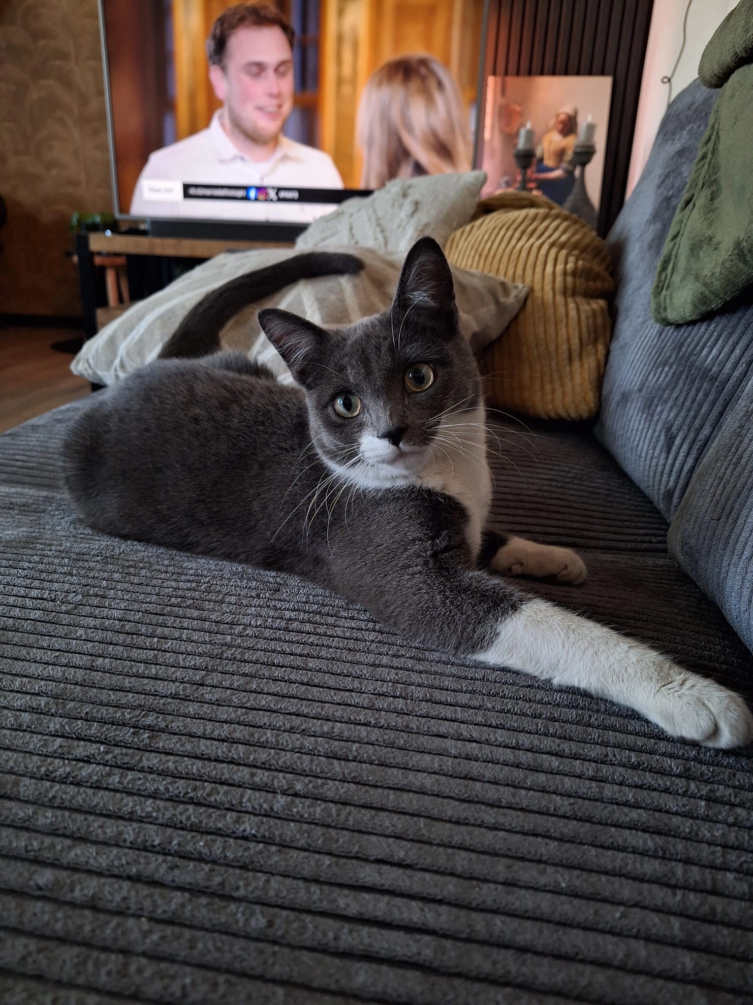 Storm  - Asserweg, Beilen