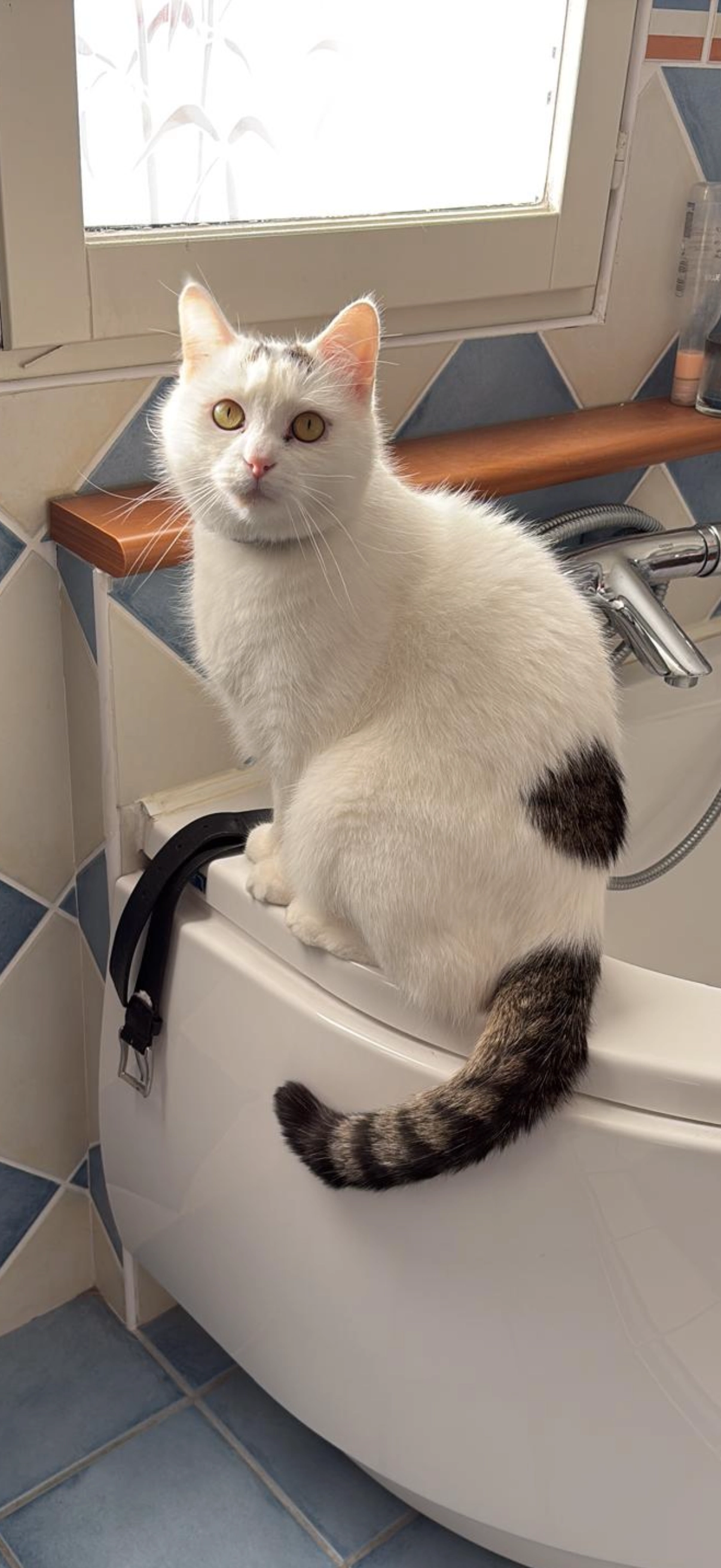 RamsÚs - Rue Victor Camélinat, Longueau