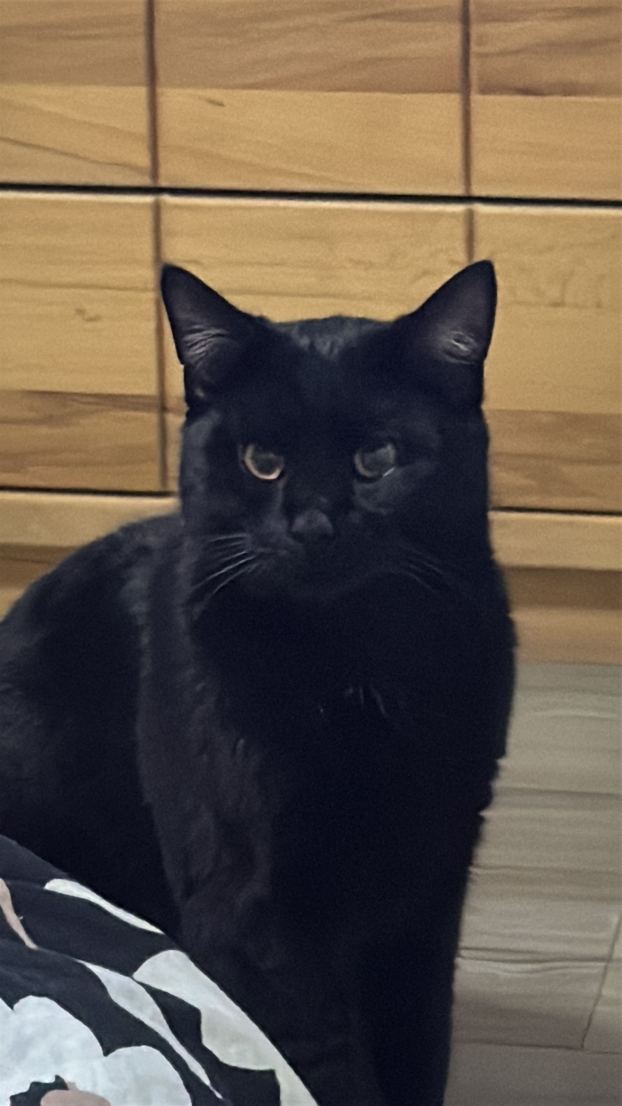 Bebi milo  - Ziegeleistraße, Jelmstorf