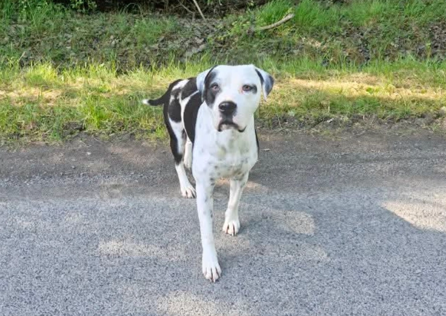 Taïro - Route de l'Ouzy, Langeais
