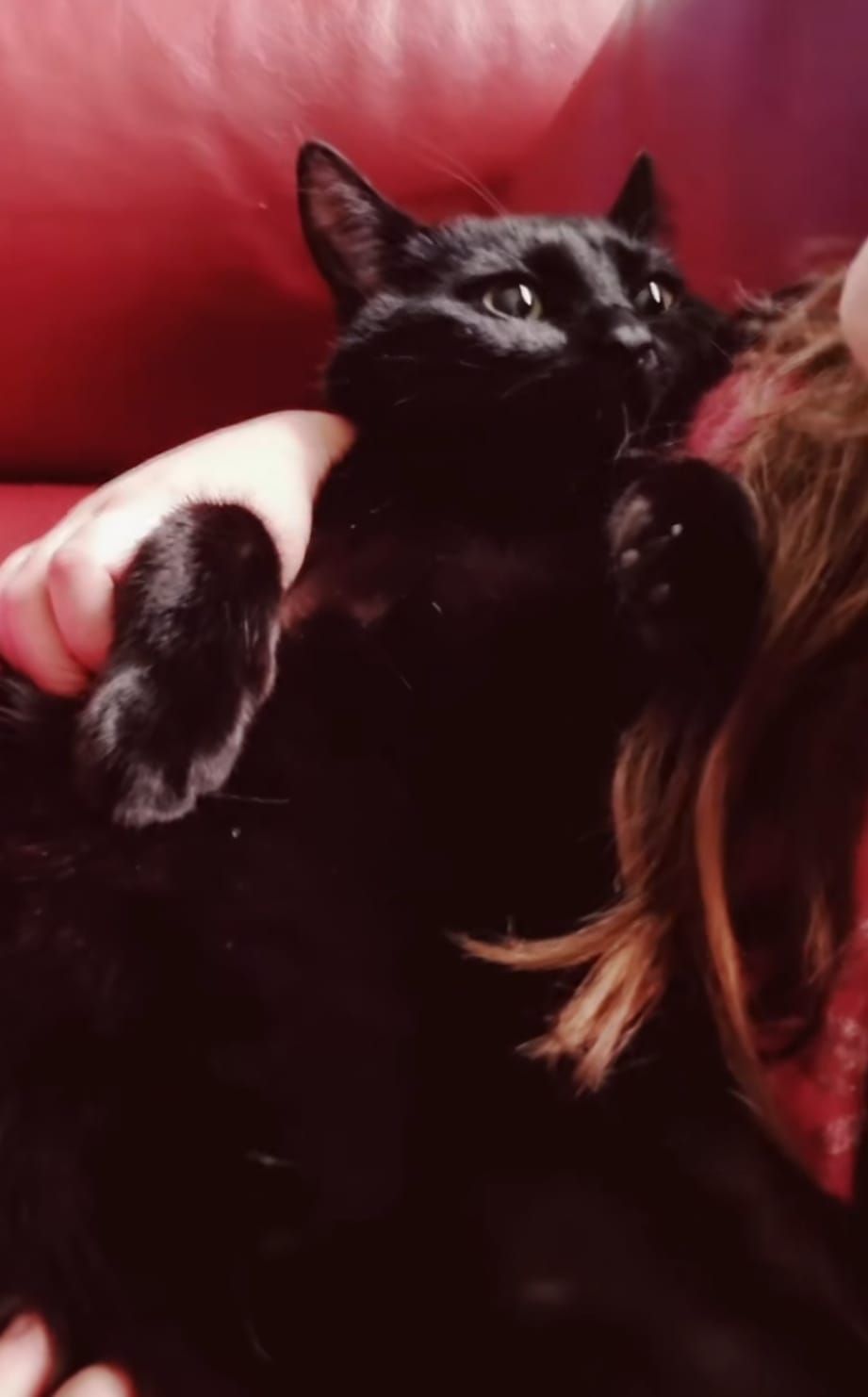 Racho - Lange Straße, Lohfelden