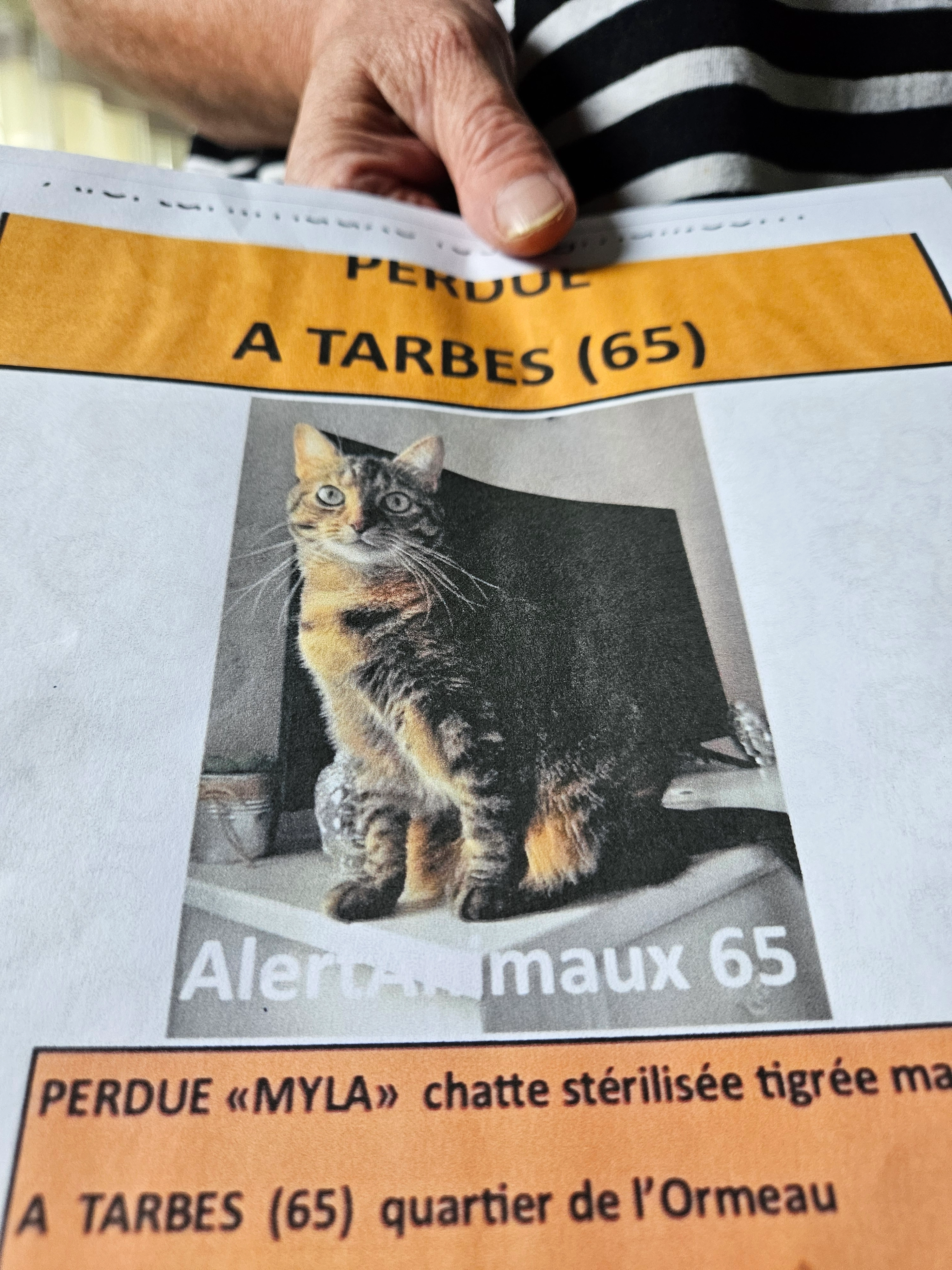 Myla - 6 Rue Jean Perrin, Tarbes