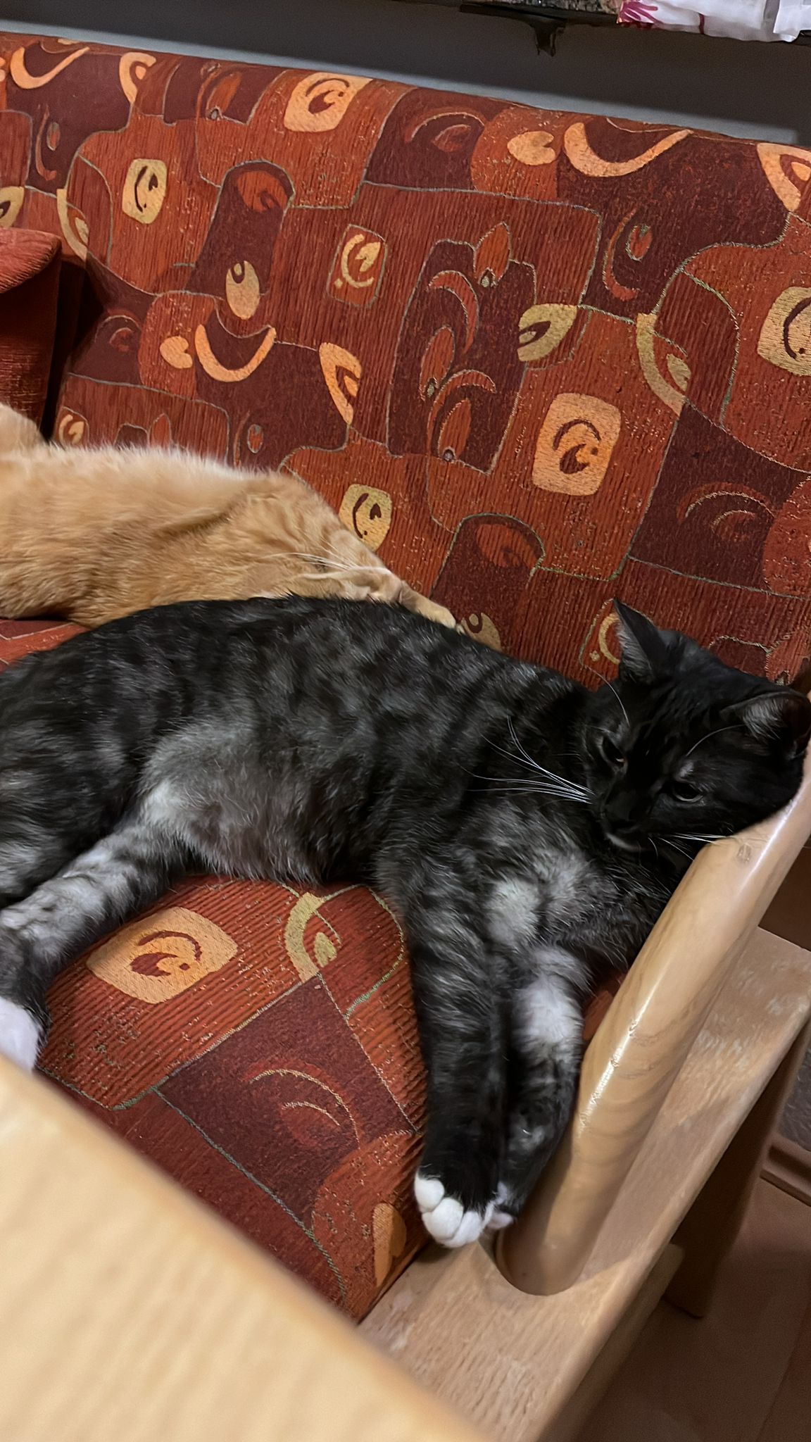 Ivy - Wohnpark, Köditz