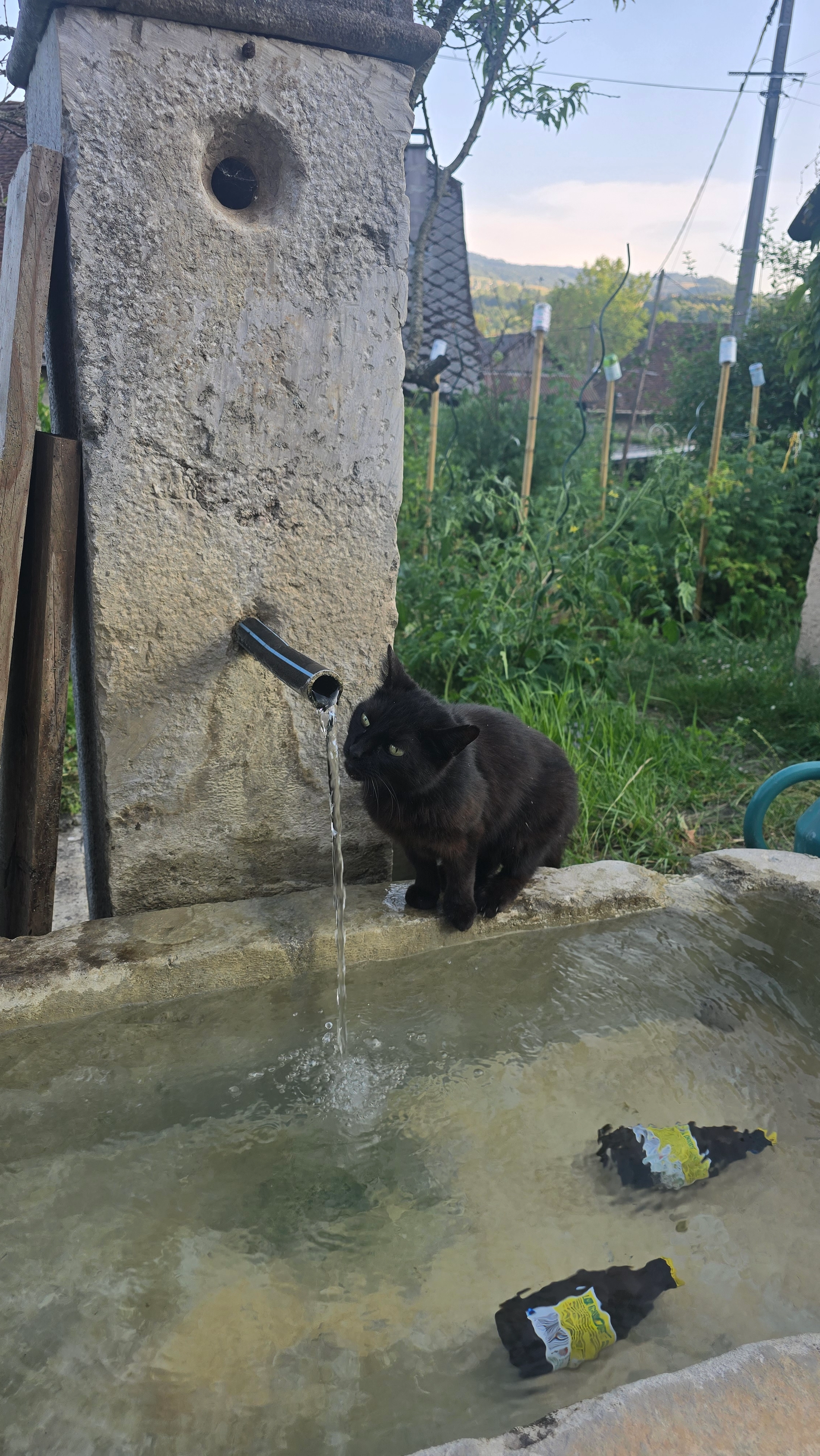 Aloy - 59 Chemin Boutier et la Roche, Saint-Bueil