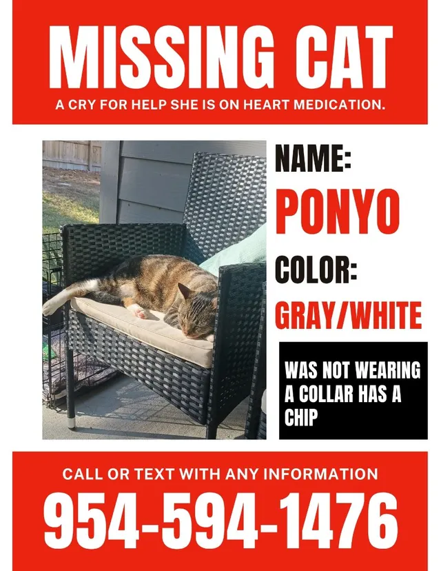 Ponyo - 7212 Ashley Falls Ct, Douglasville
