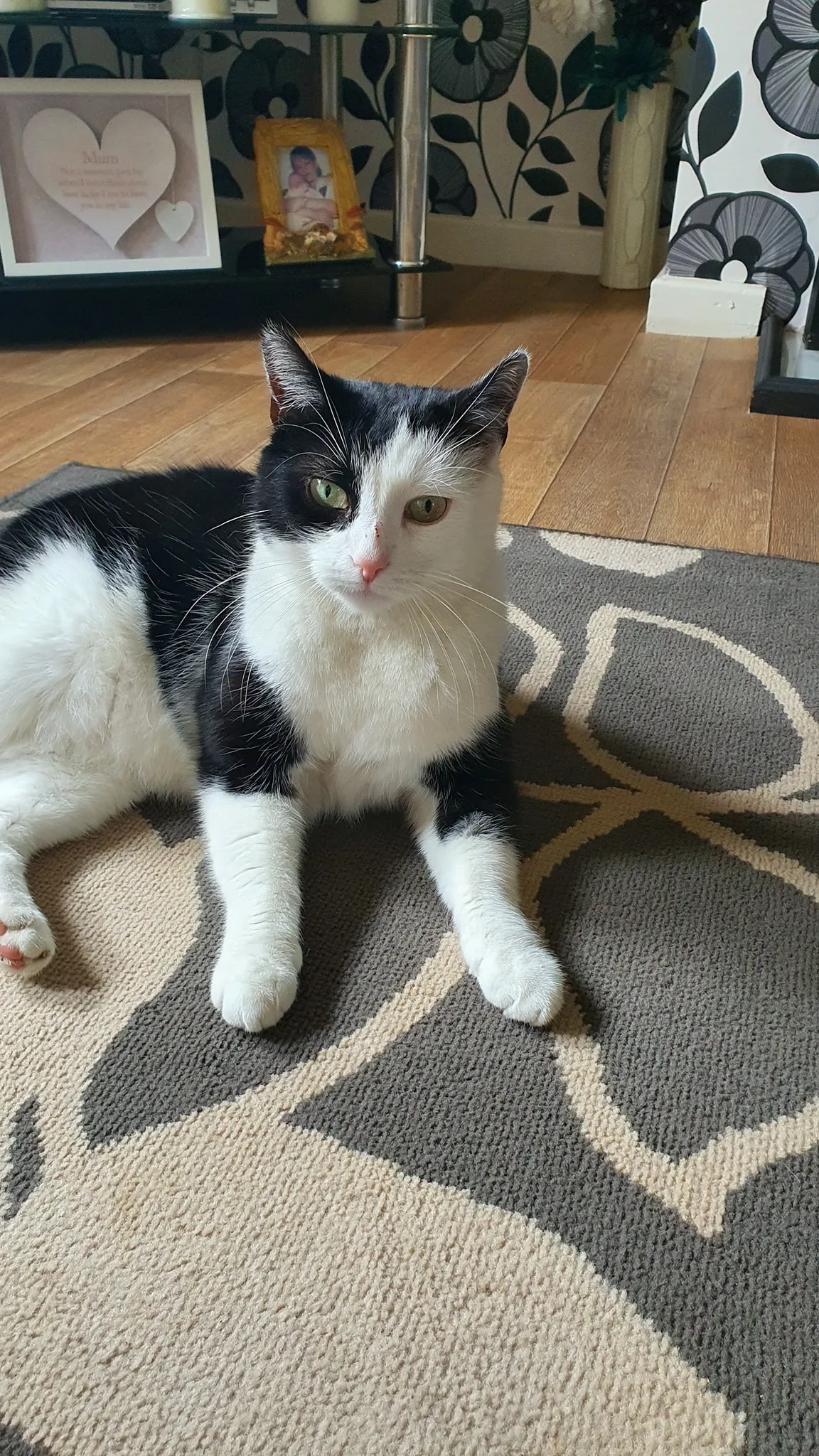 Tilly - Booth Crescent, Mansfield