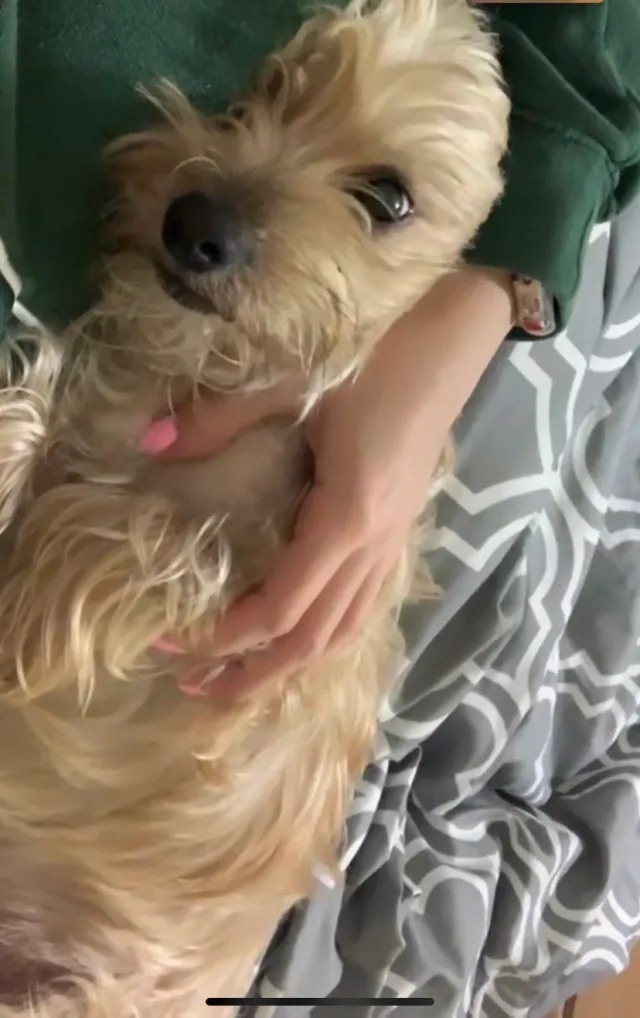 Milo - 634 SE 4th Pl, Hialeah